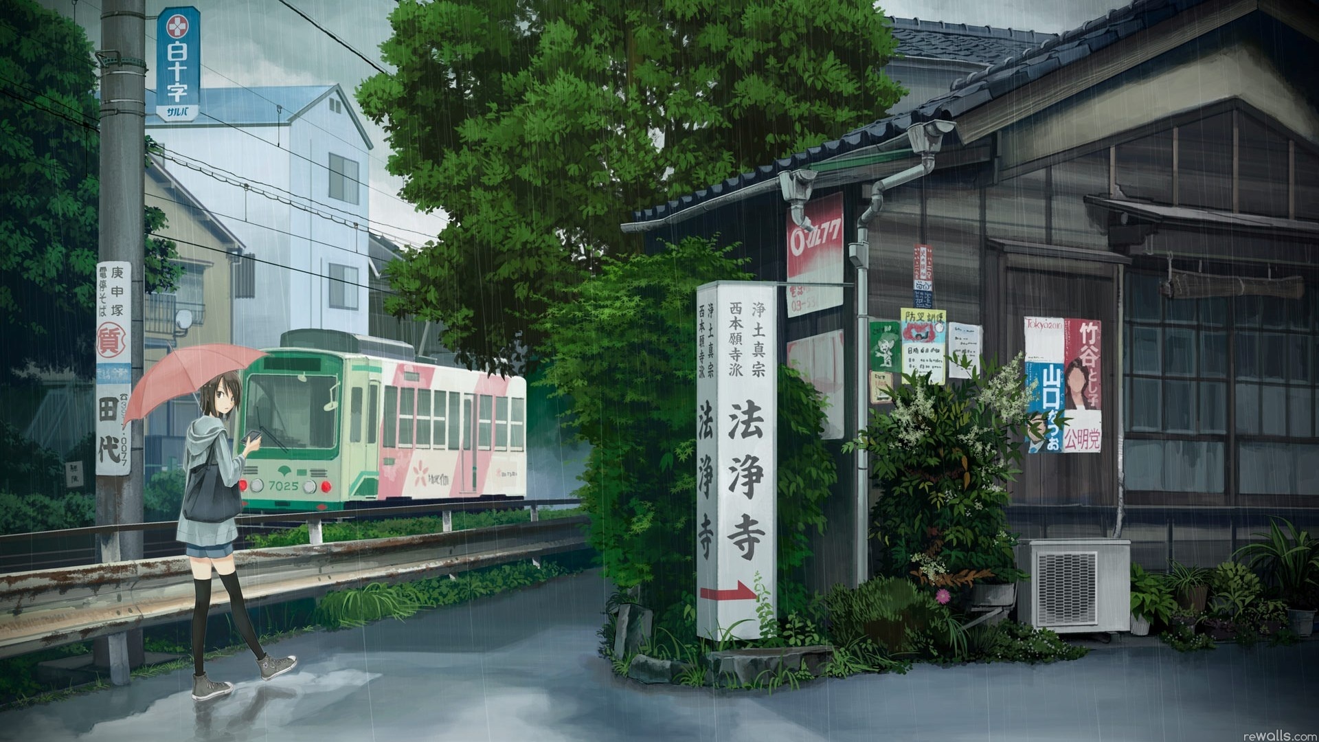 аниме, зонтик