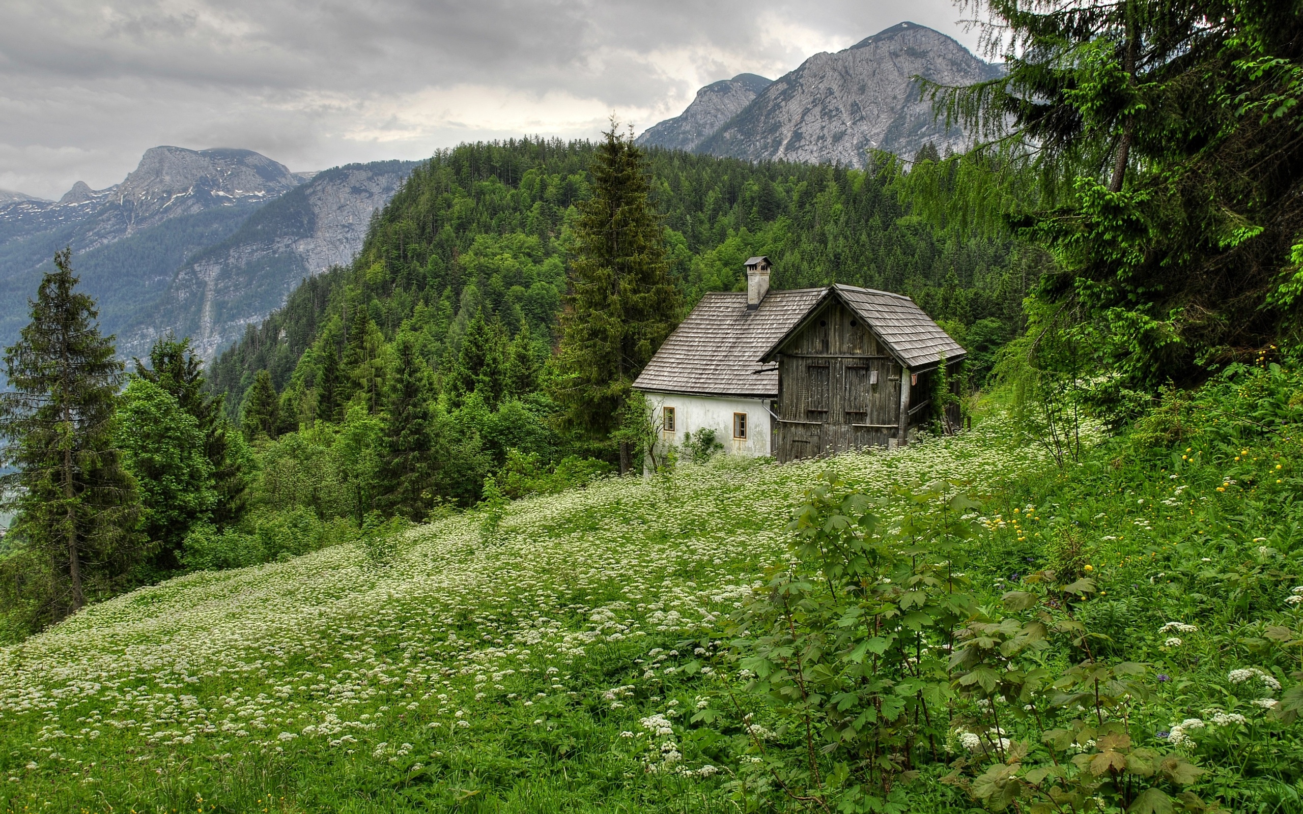 casa, montaña, una