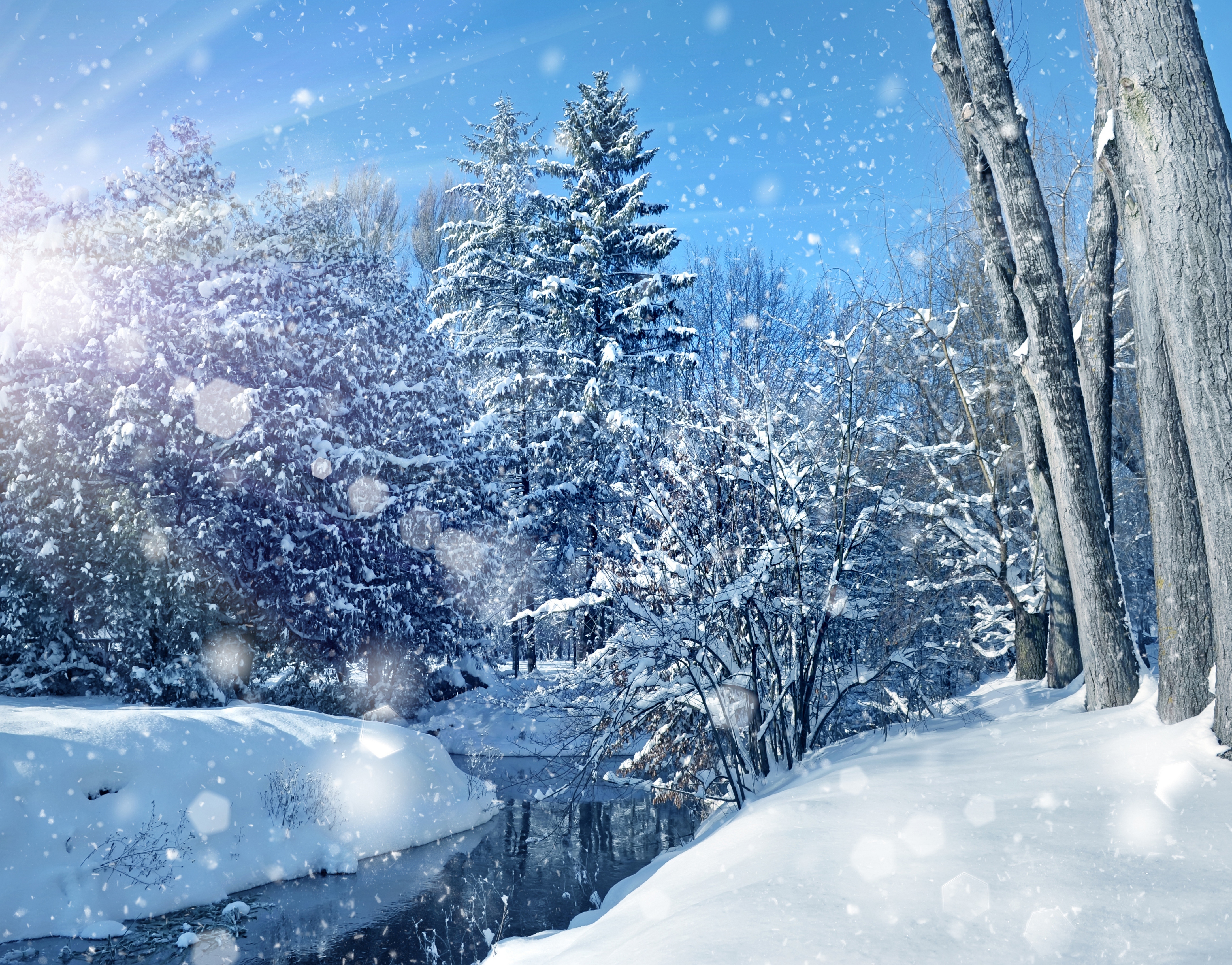Красивая картинка со снегом. Зимний пейзаж. Зимние обои. Снежная зима. Красивая зима.