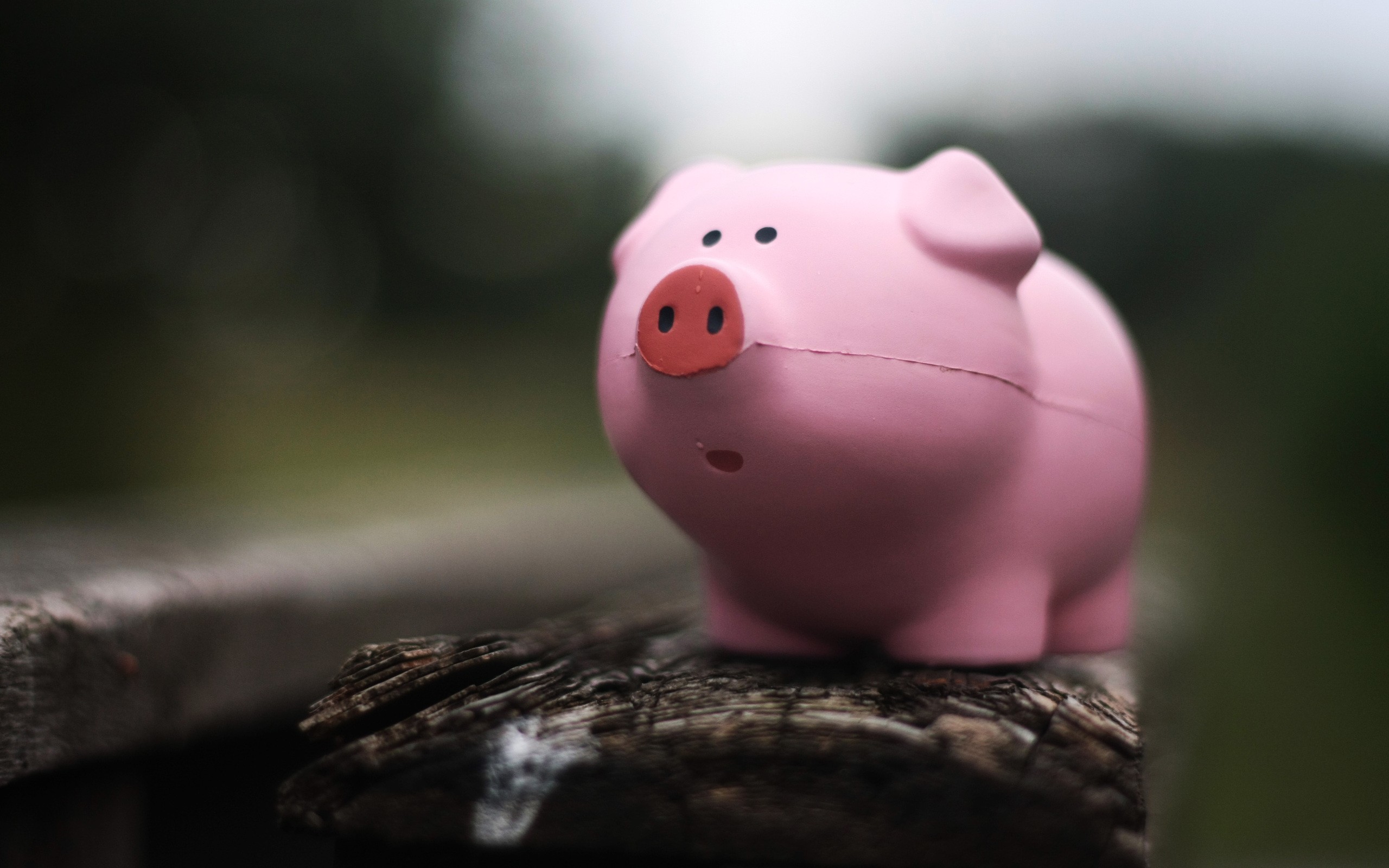 киев, панталла, копилка