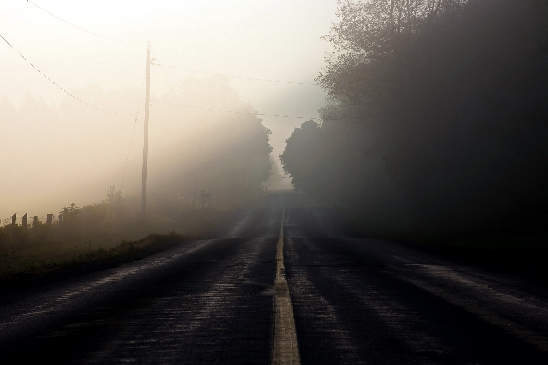 туман на дороге без смс
