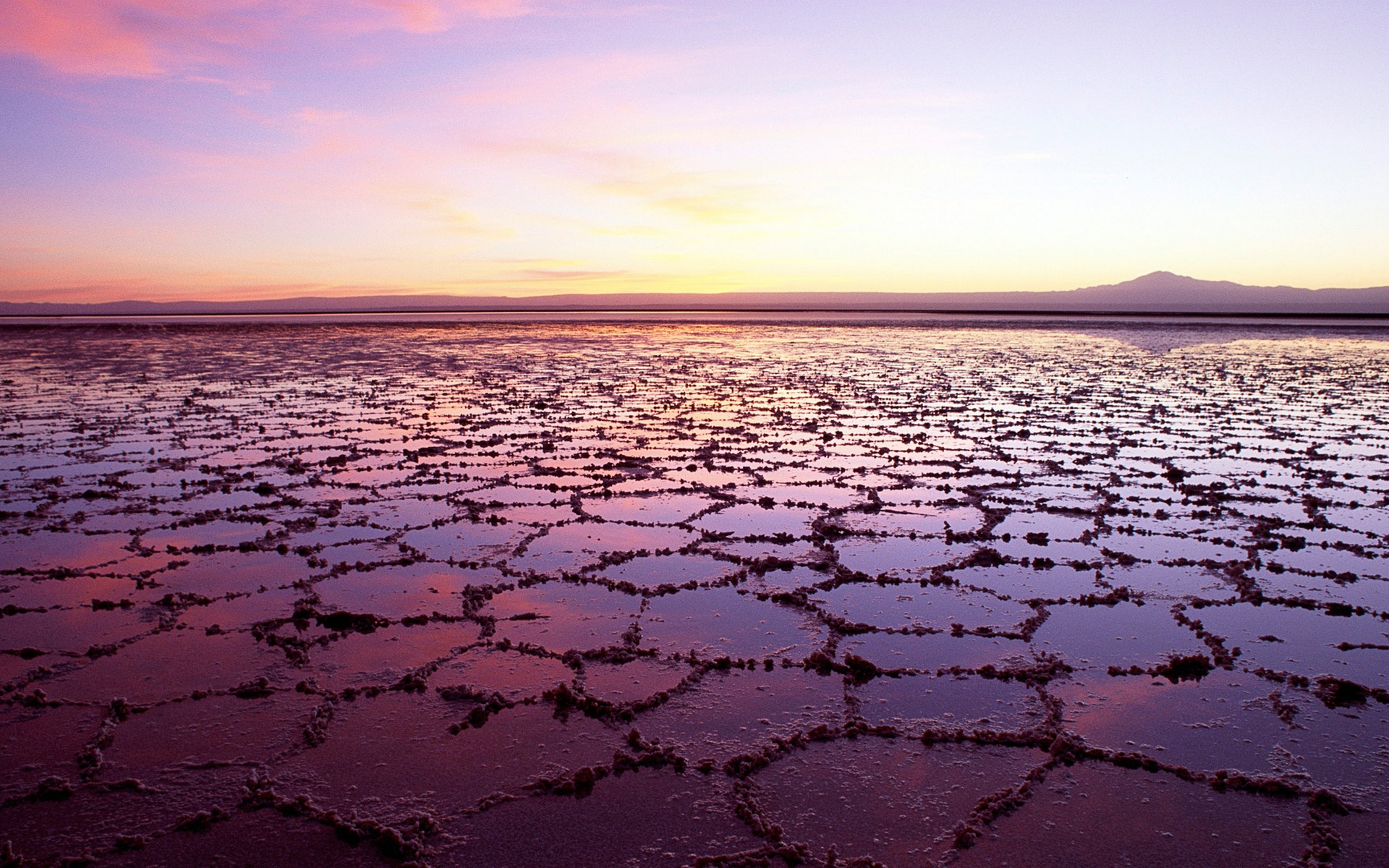 chile