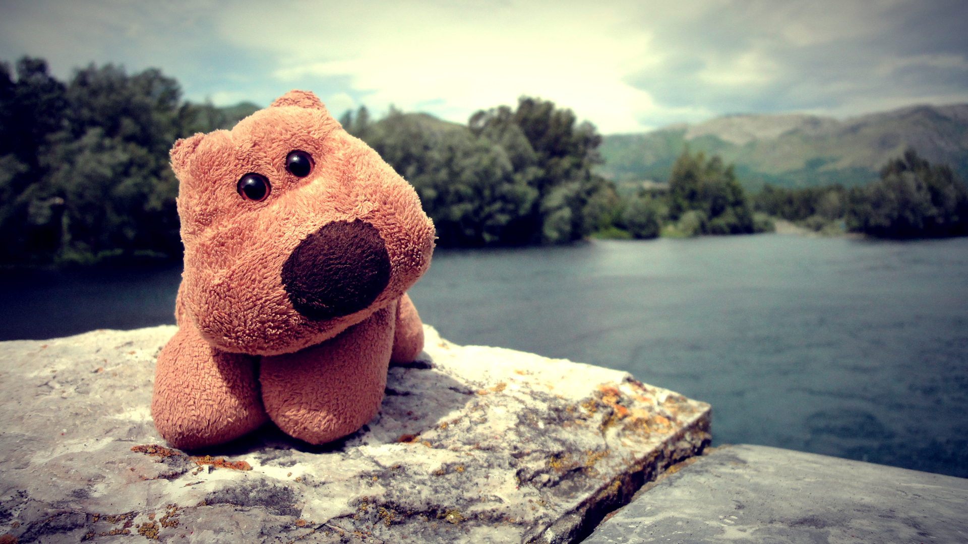 мужчина, плюшевый, любимый