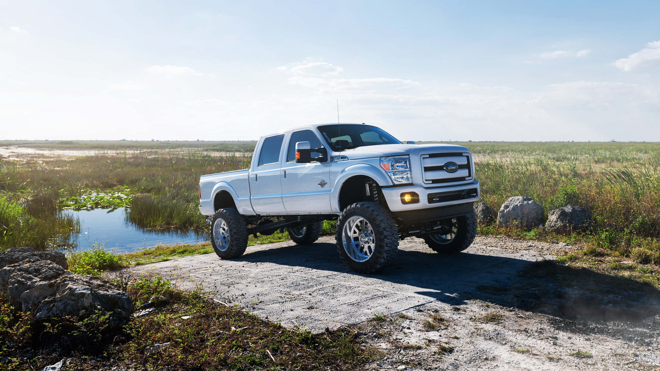 форд, капуста, алкатель