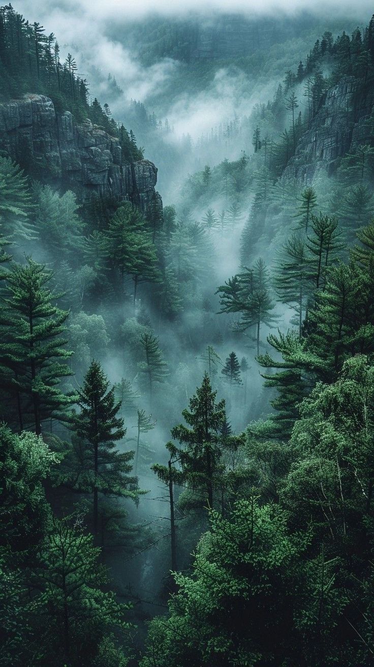 передний, глинобитный, ото