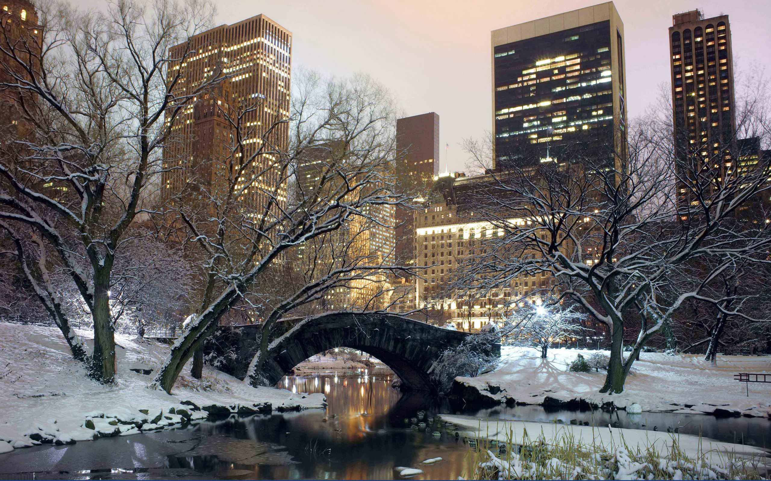 нью, york, winter Фон № 90577 разрешение 2560x1600
