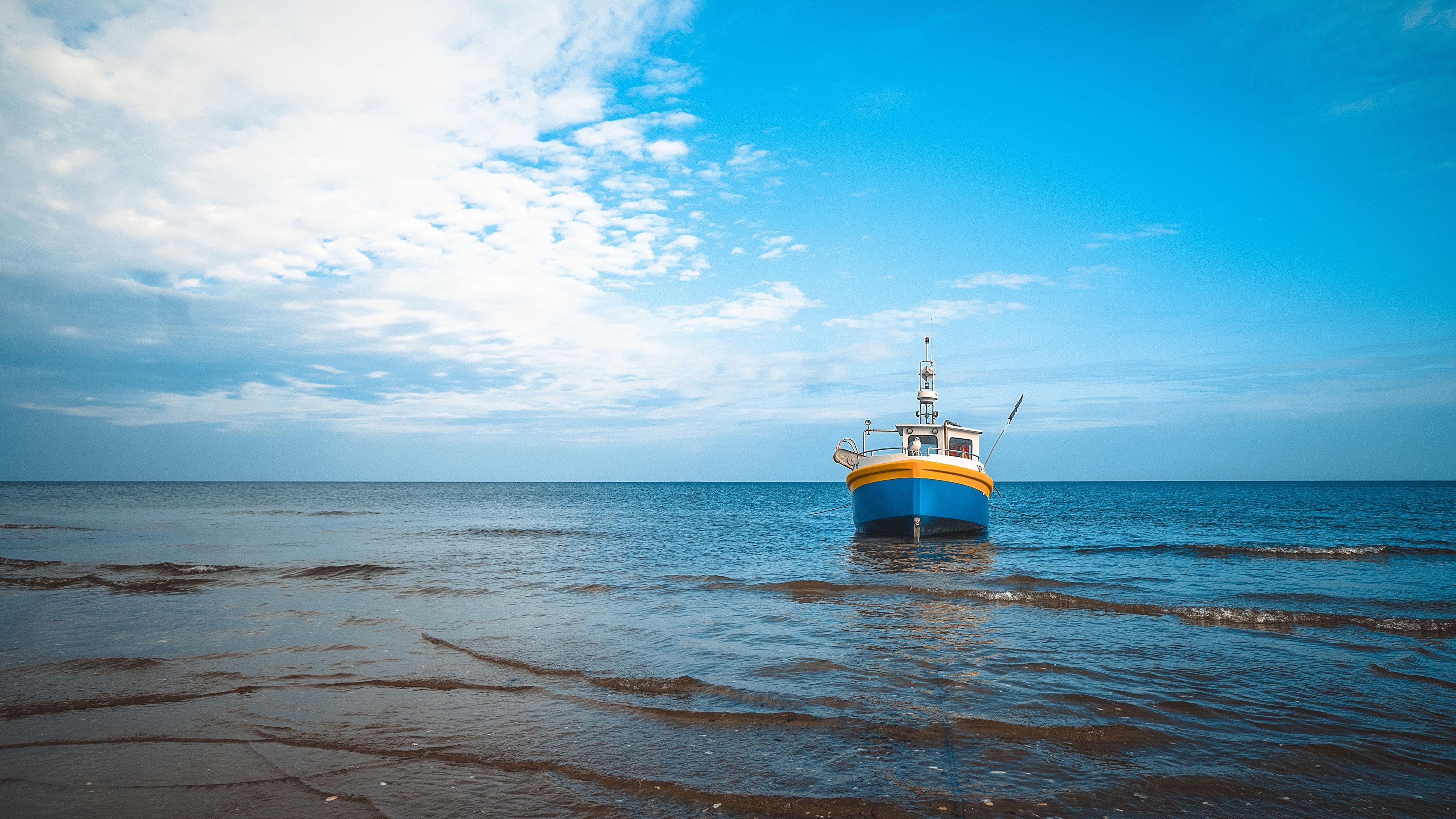 рыб, море