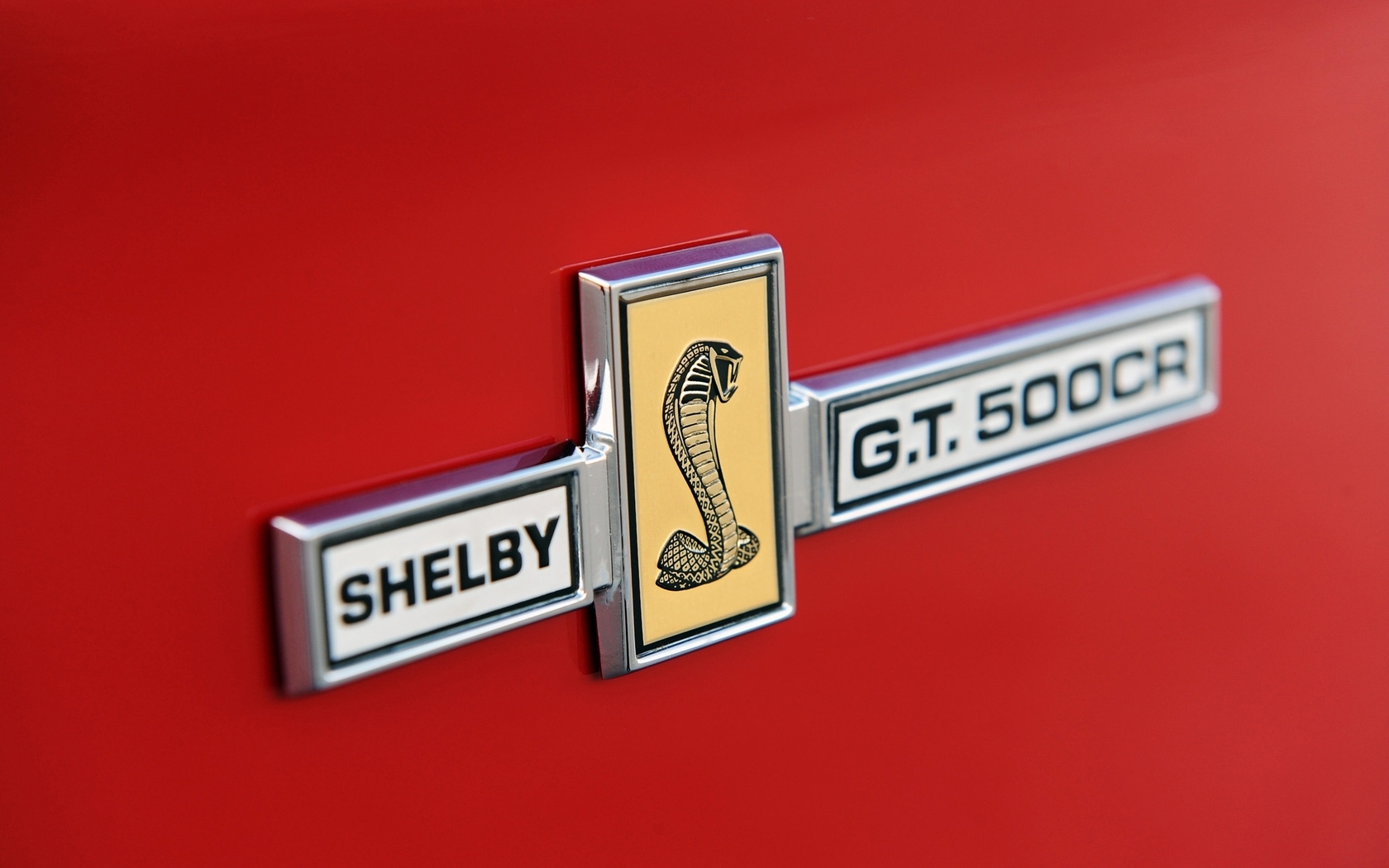 shelby, mustang