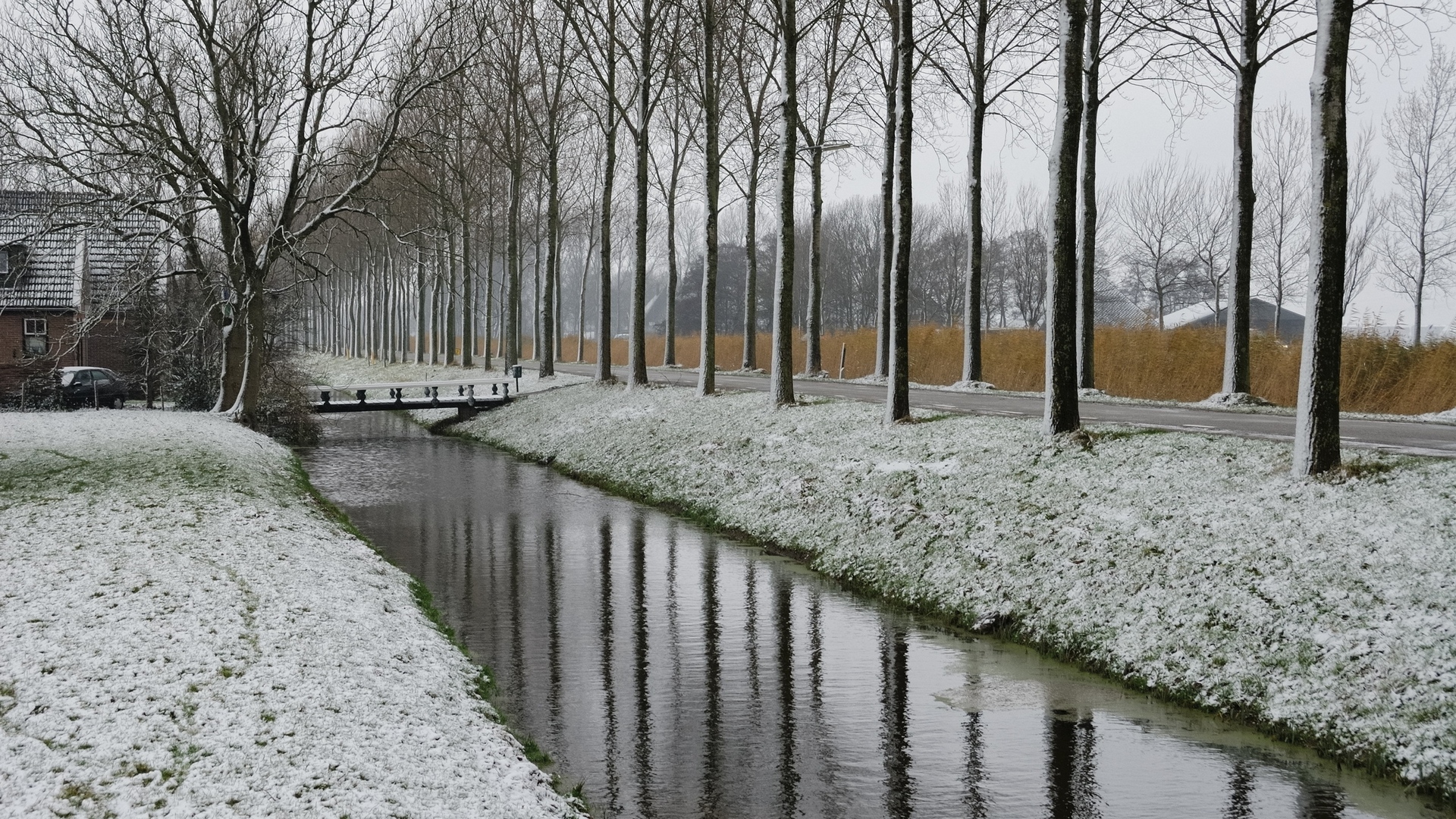 снег, дивная, страница