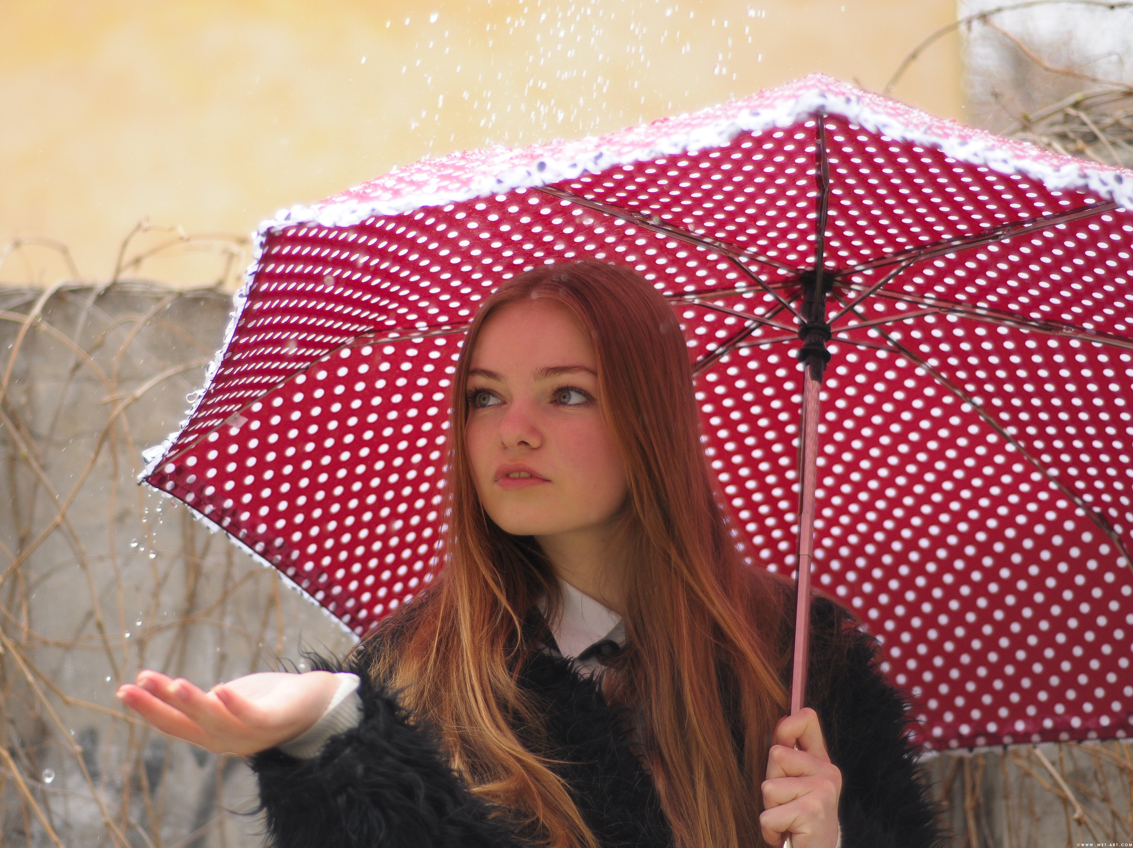 weather forecast