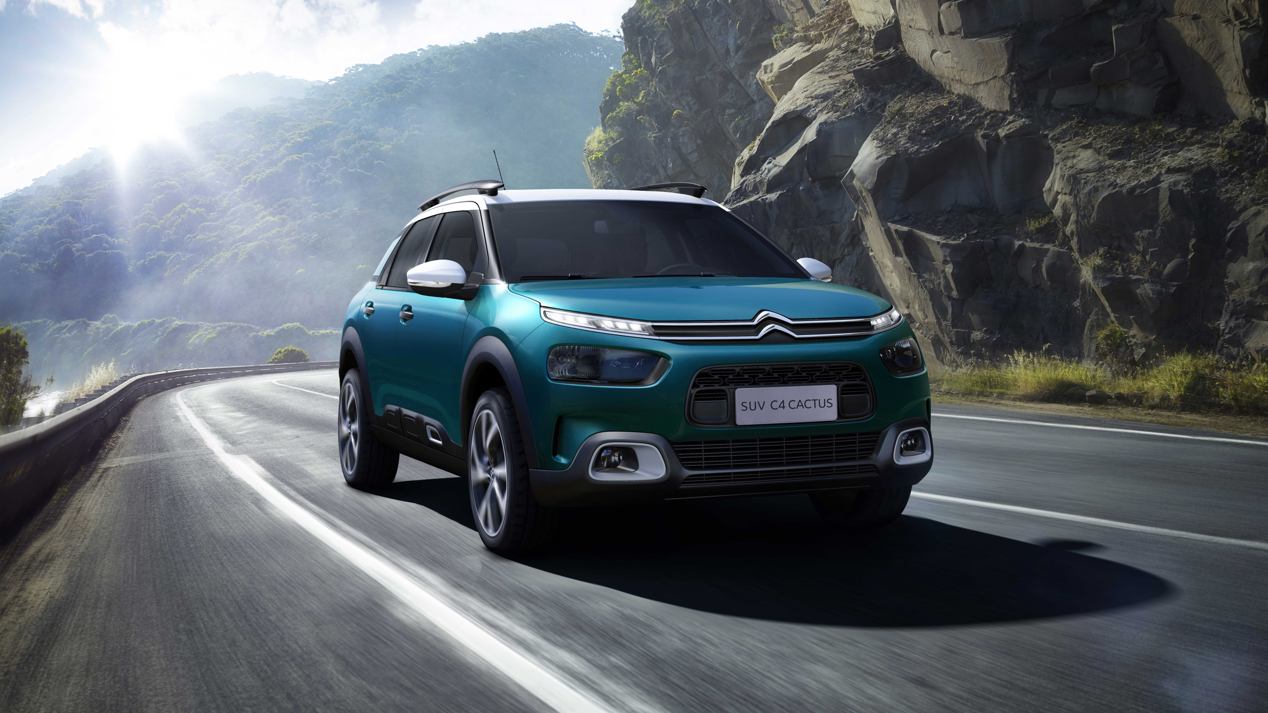 кактус, citroën, бразиль