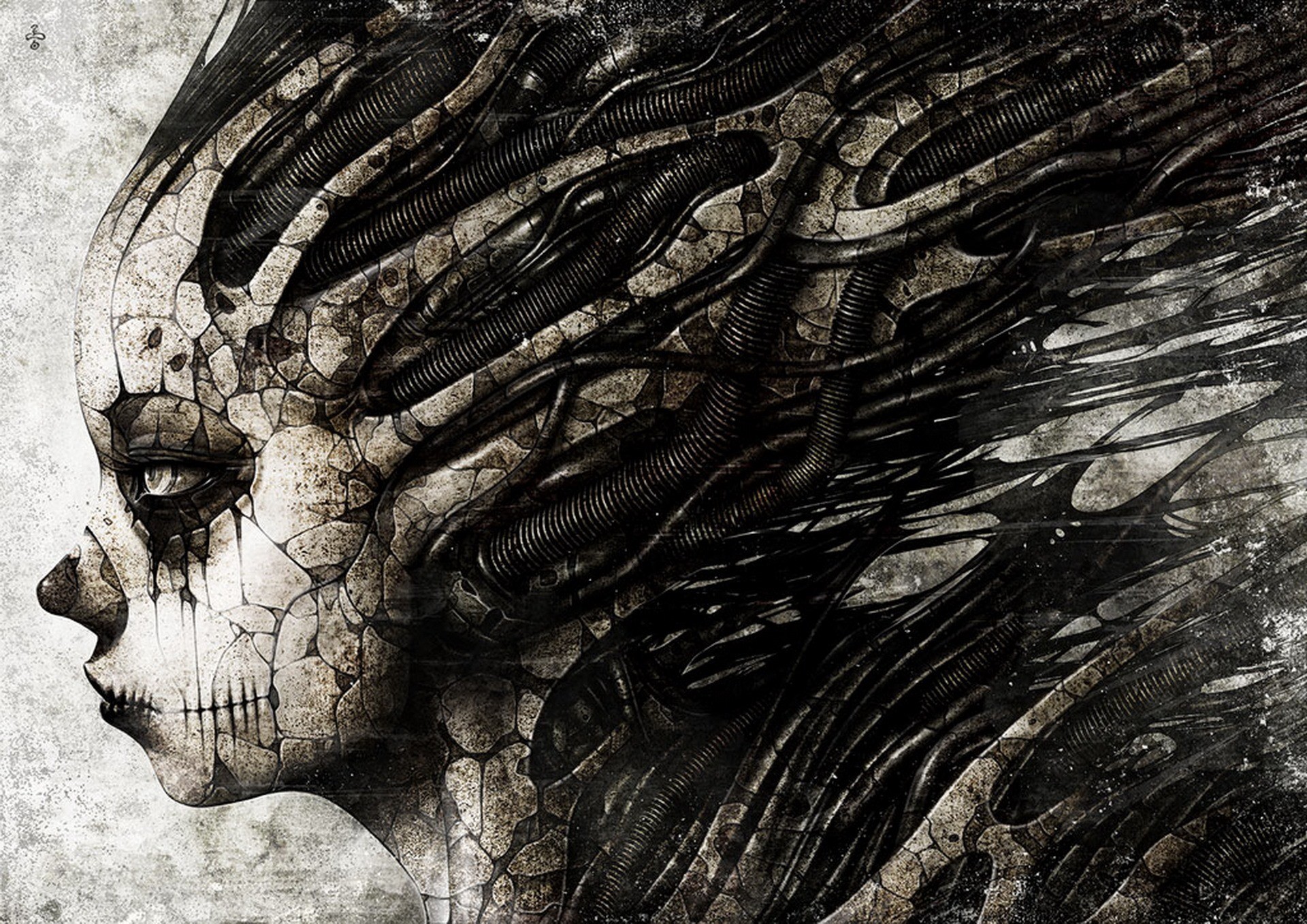 тварь, искусство, кус