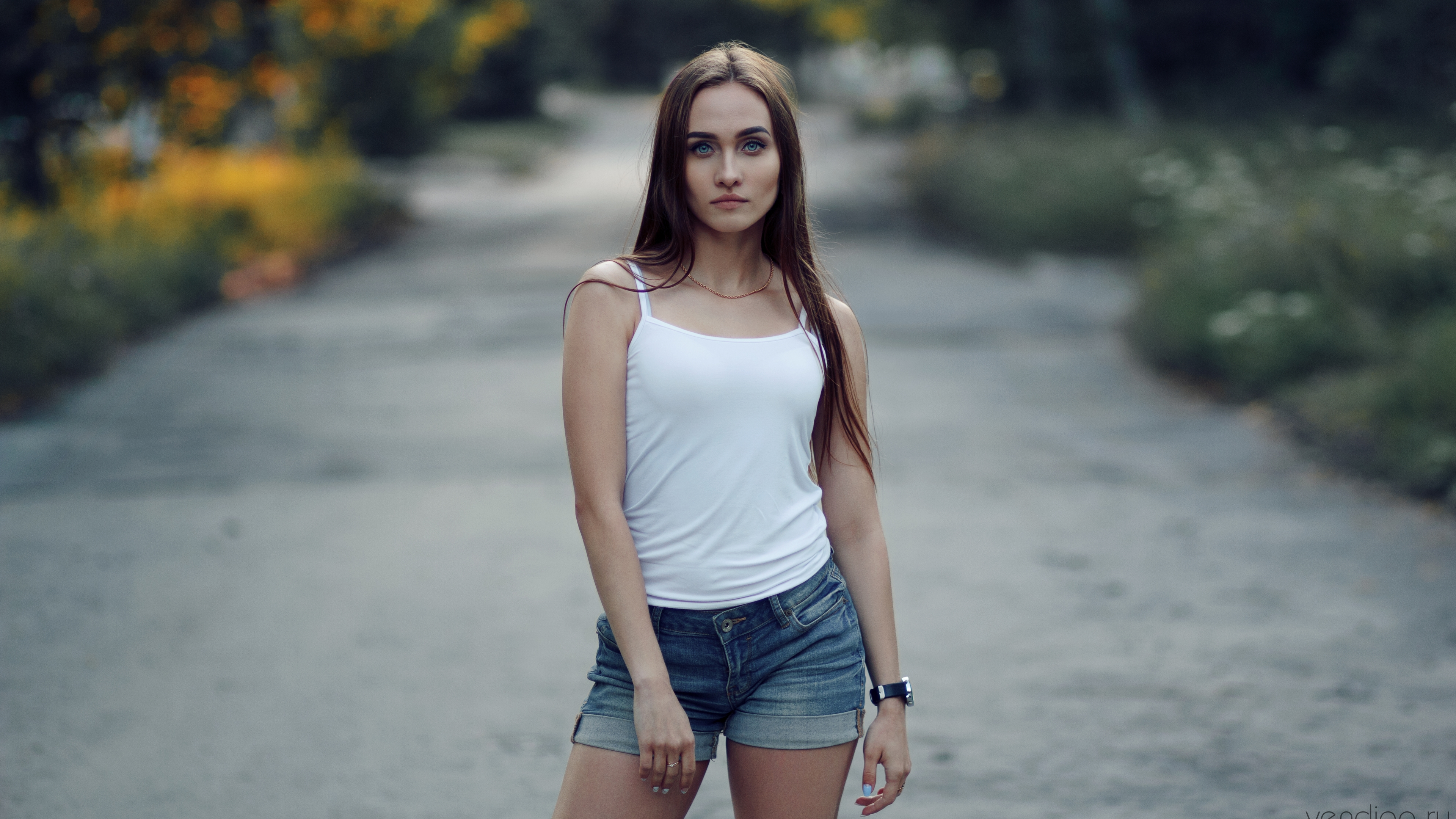 леди, сегодня вечером