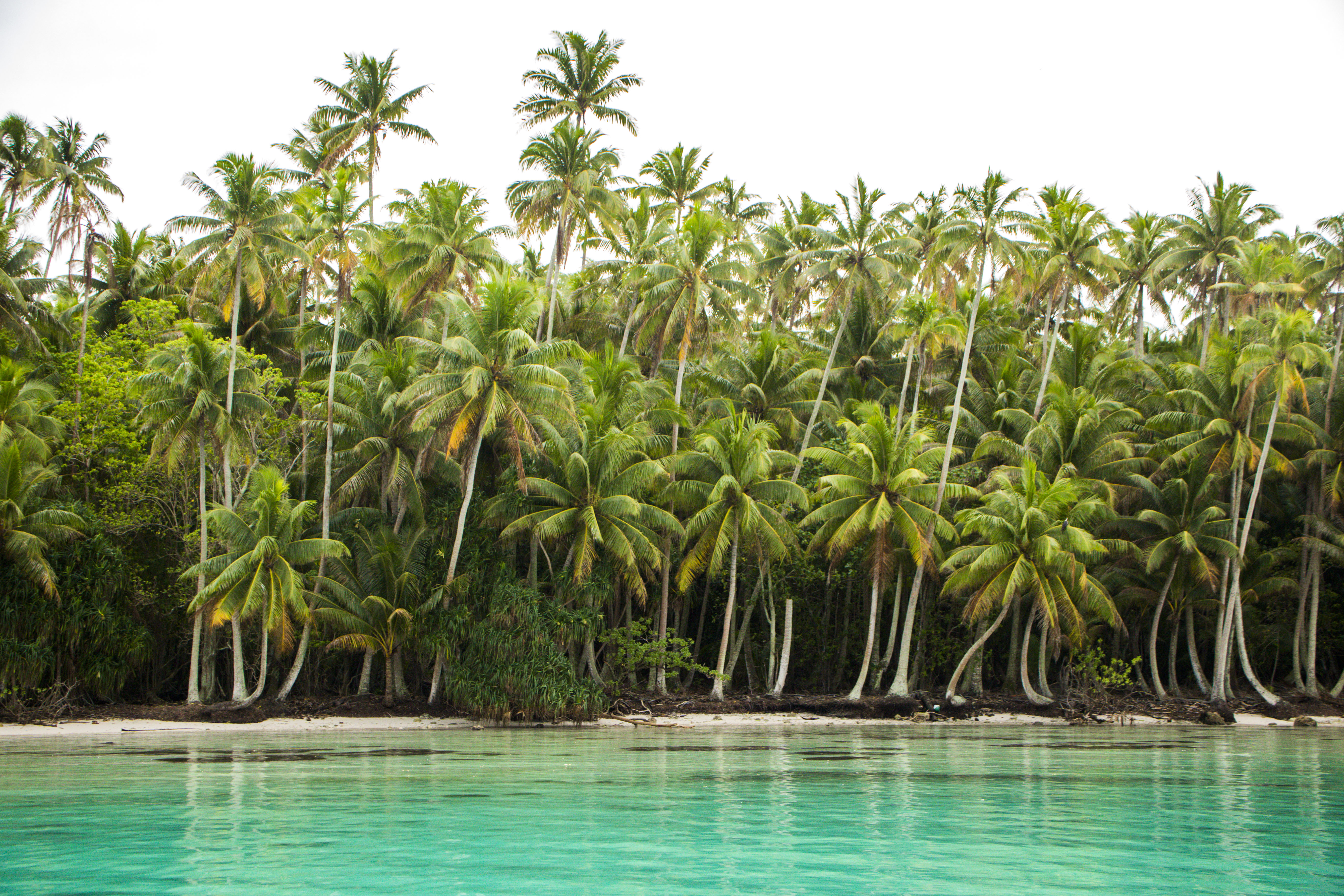 горничный, кадмат