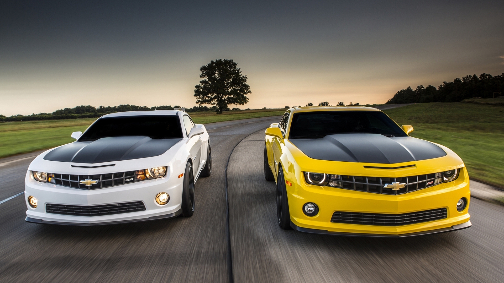 шеврол, белый