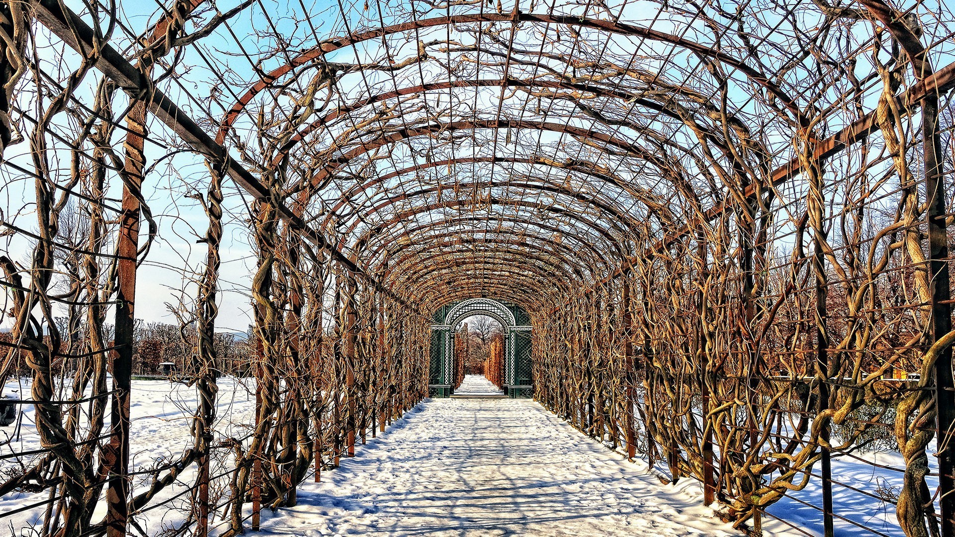 зима, шпалара, сад