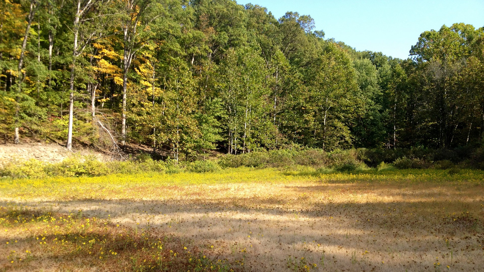 индианки, парк, штат