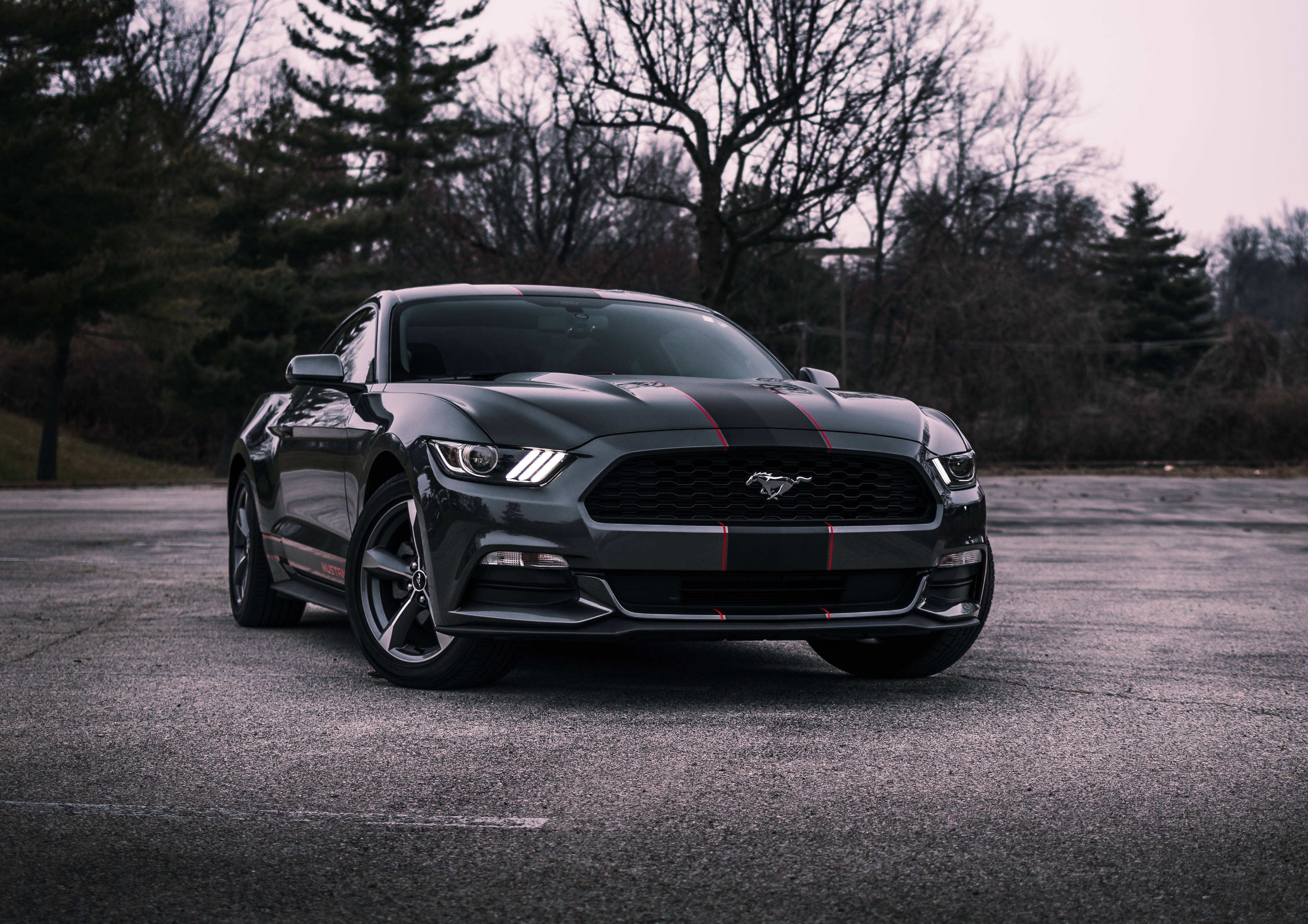 mustang, ford, car