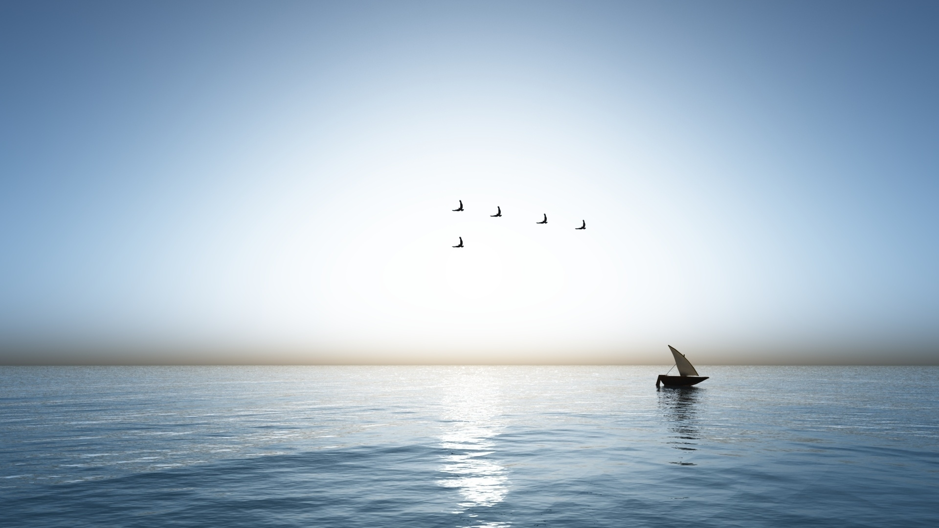 Корабль в океане одинокий. Птицы над морем. Море, Чайки. Море яхта Чайки. Корабль в море.