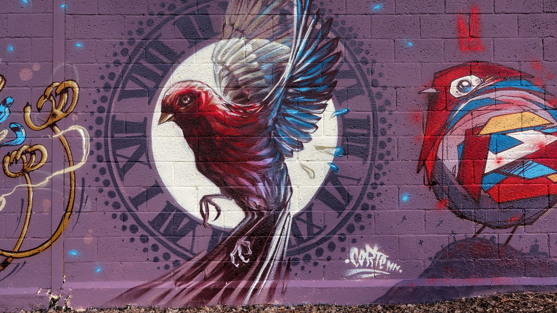 grafitus