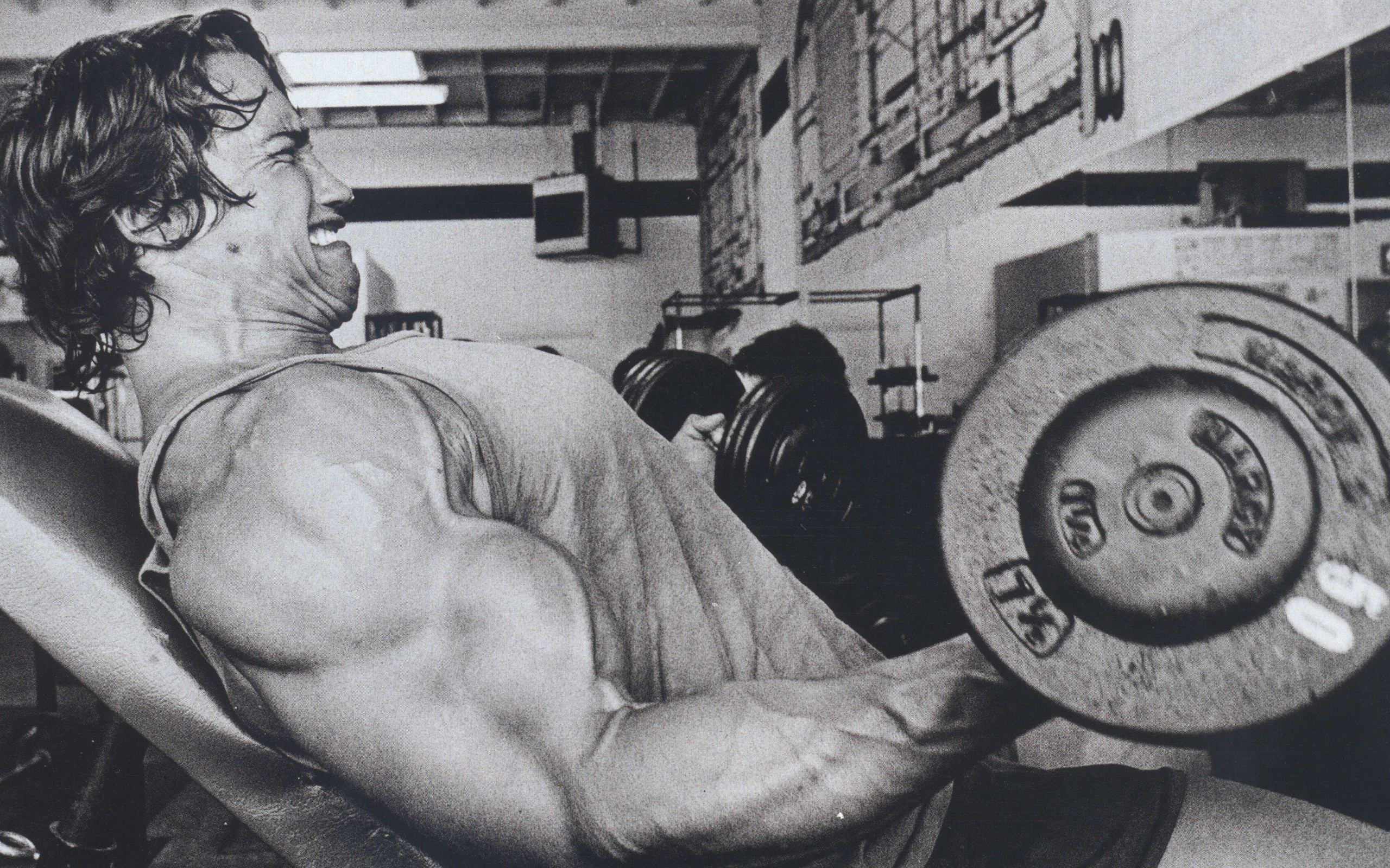 schwarzenegger, игра, arnold