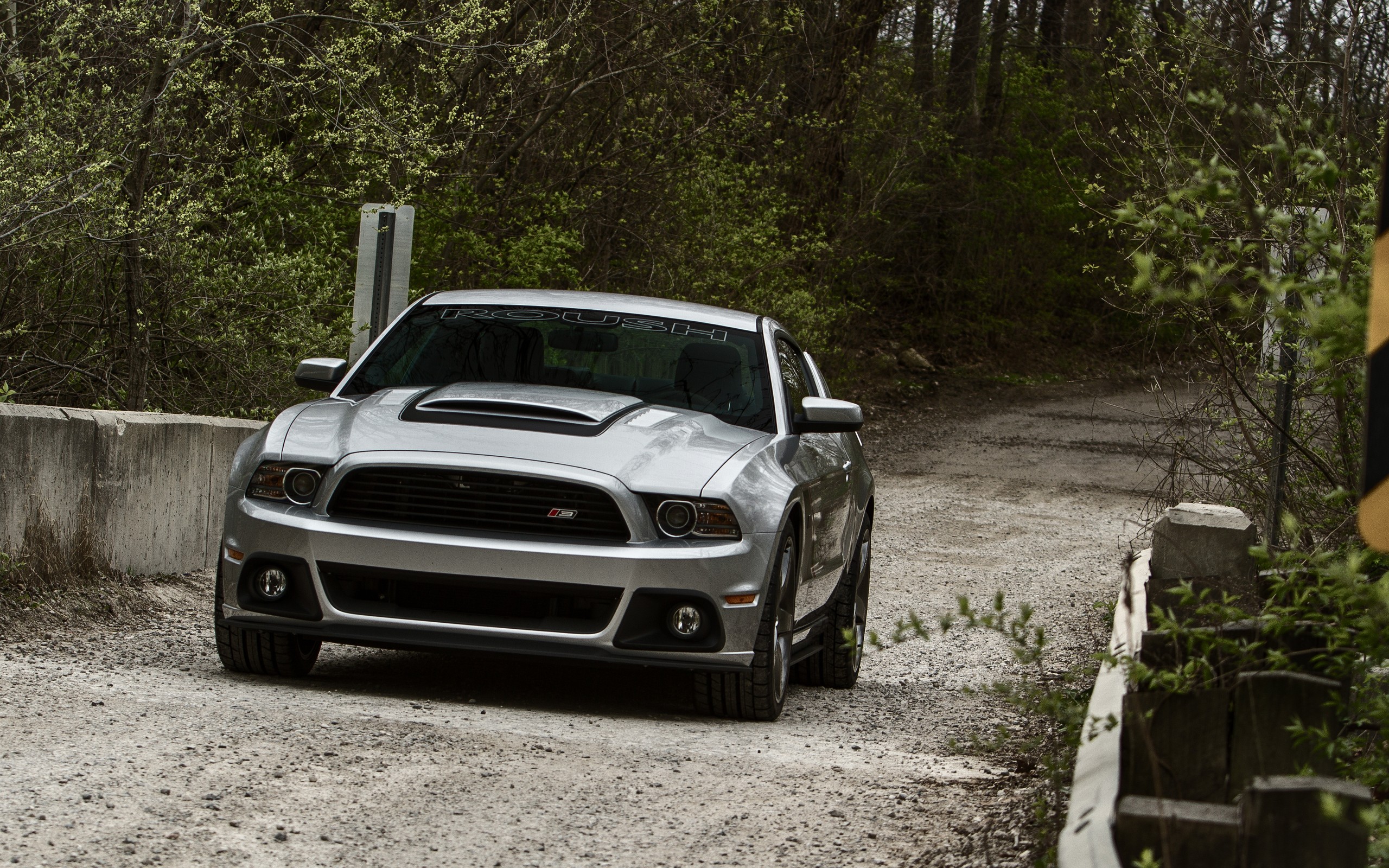 ford, mustang, автомагистраль No 56117 Разрешение 2560x1600