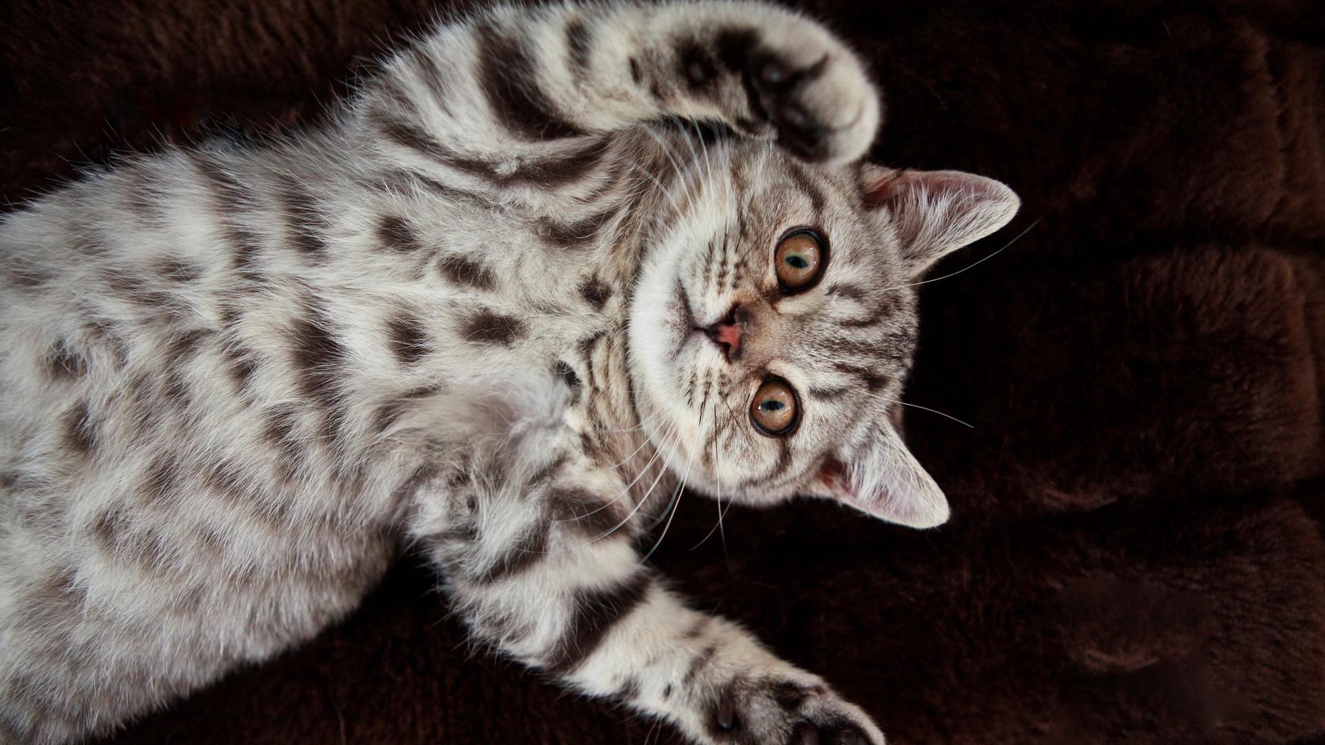 жесткий, полосатый