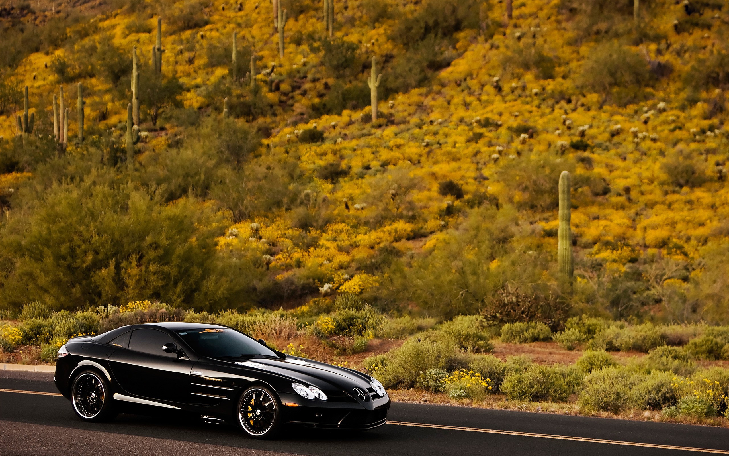 Добавить кар. Mercedes-Benz SLR MCLAREN. Mercedes обои. Мерседес на природе. Машина Мерседес на природе.