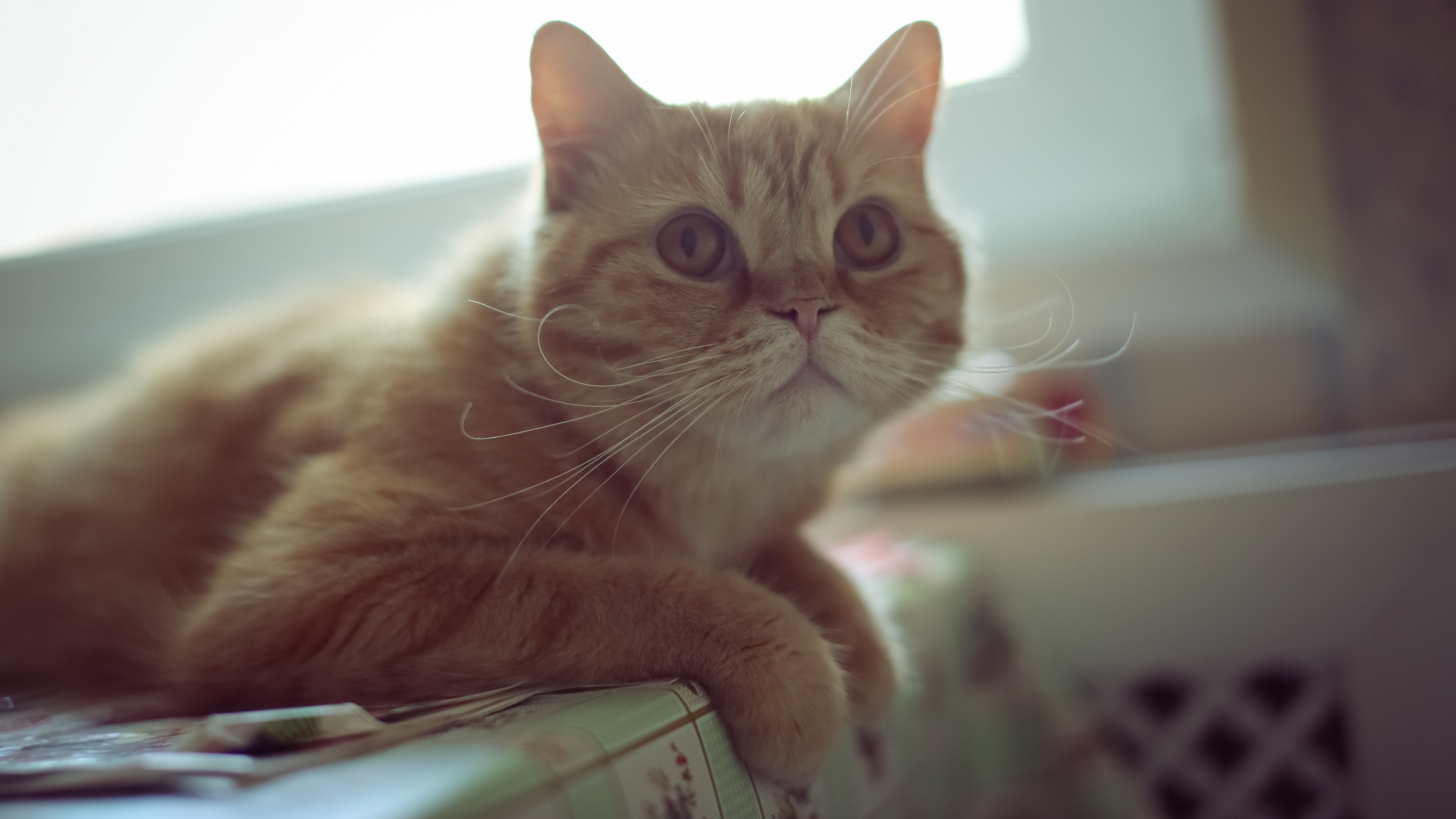 смотри, глядза