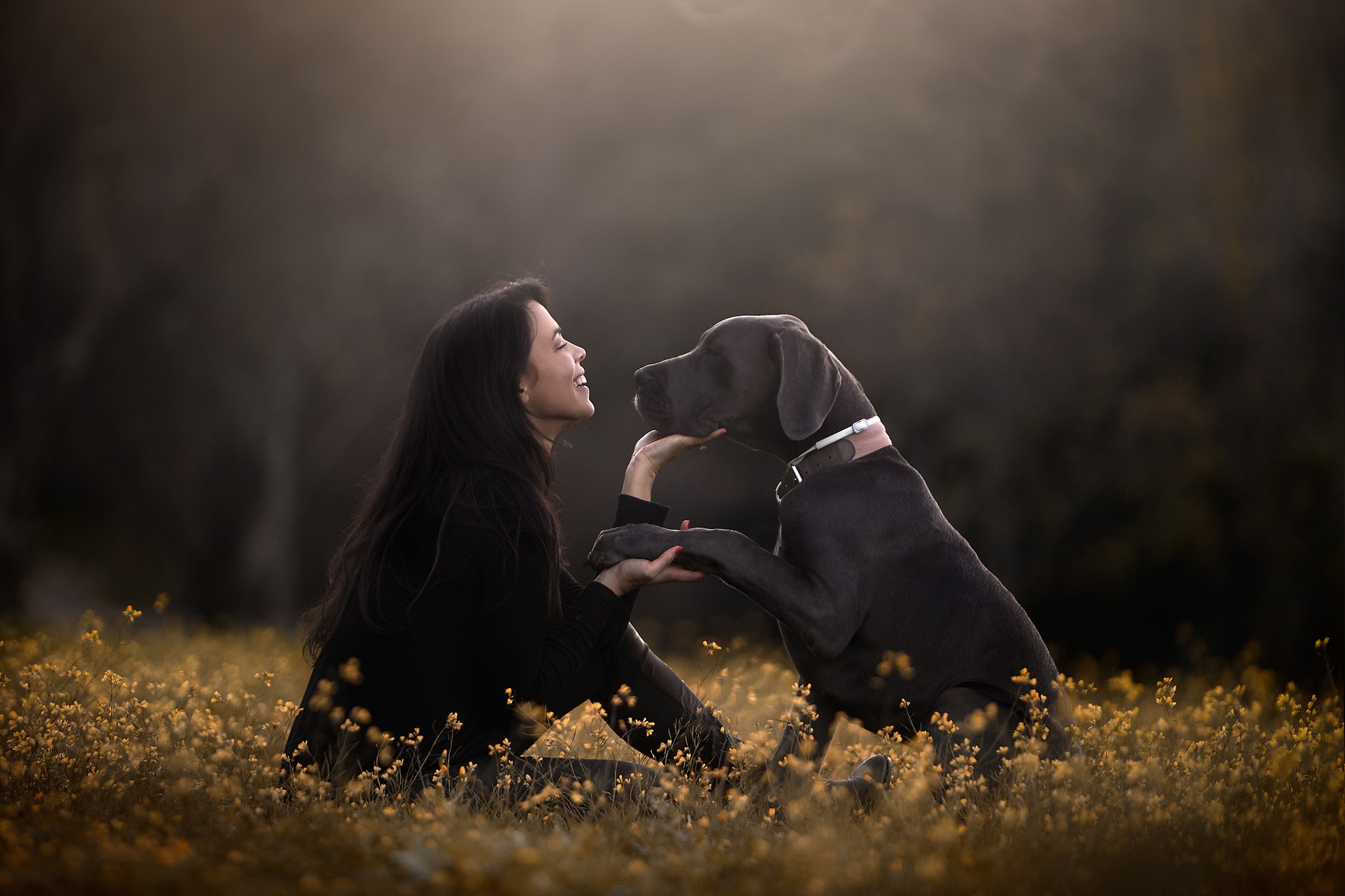 дружба, собака, настроение