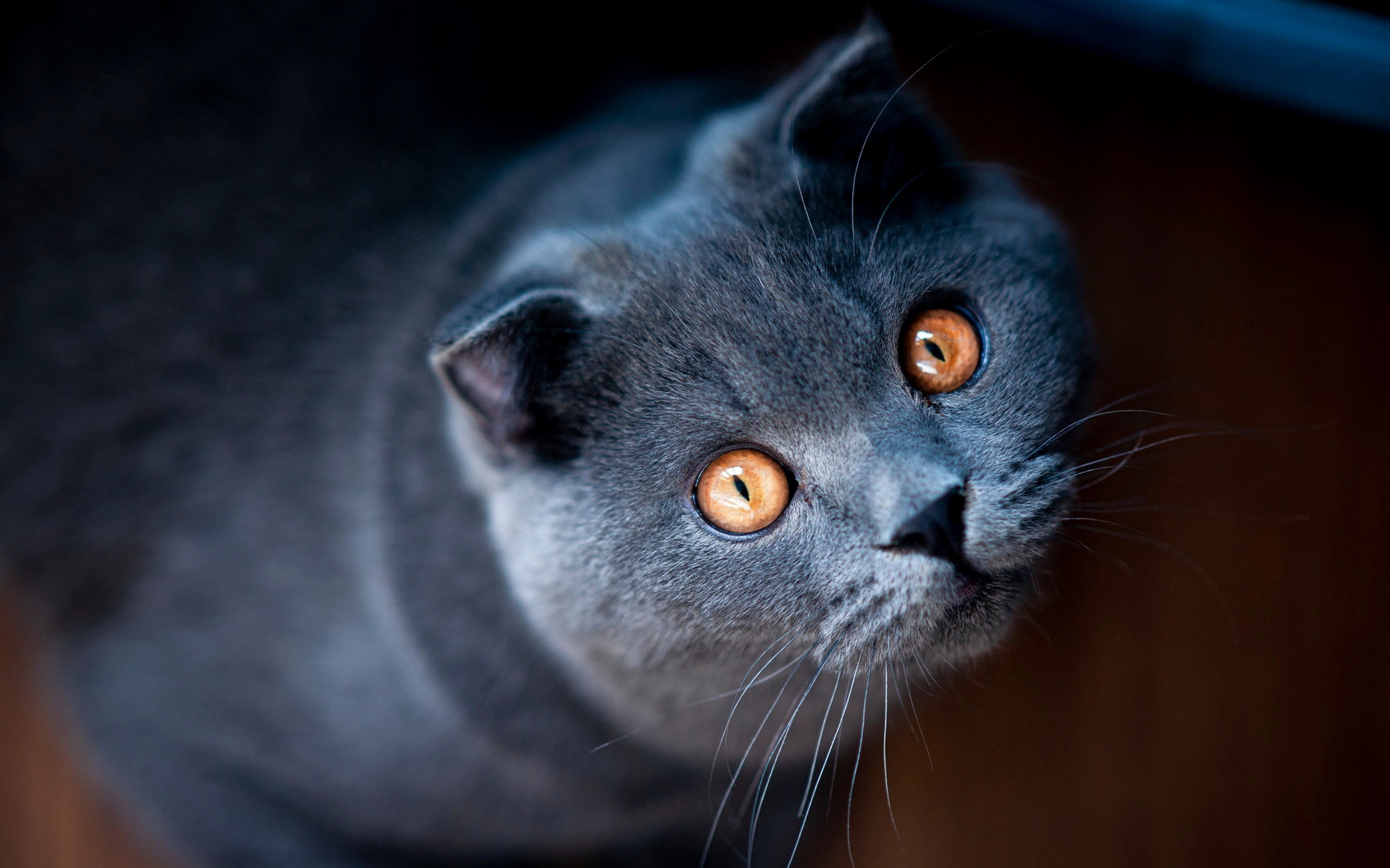 жесткий, внутренний