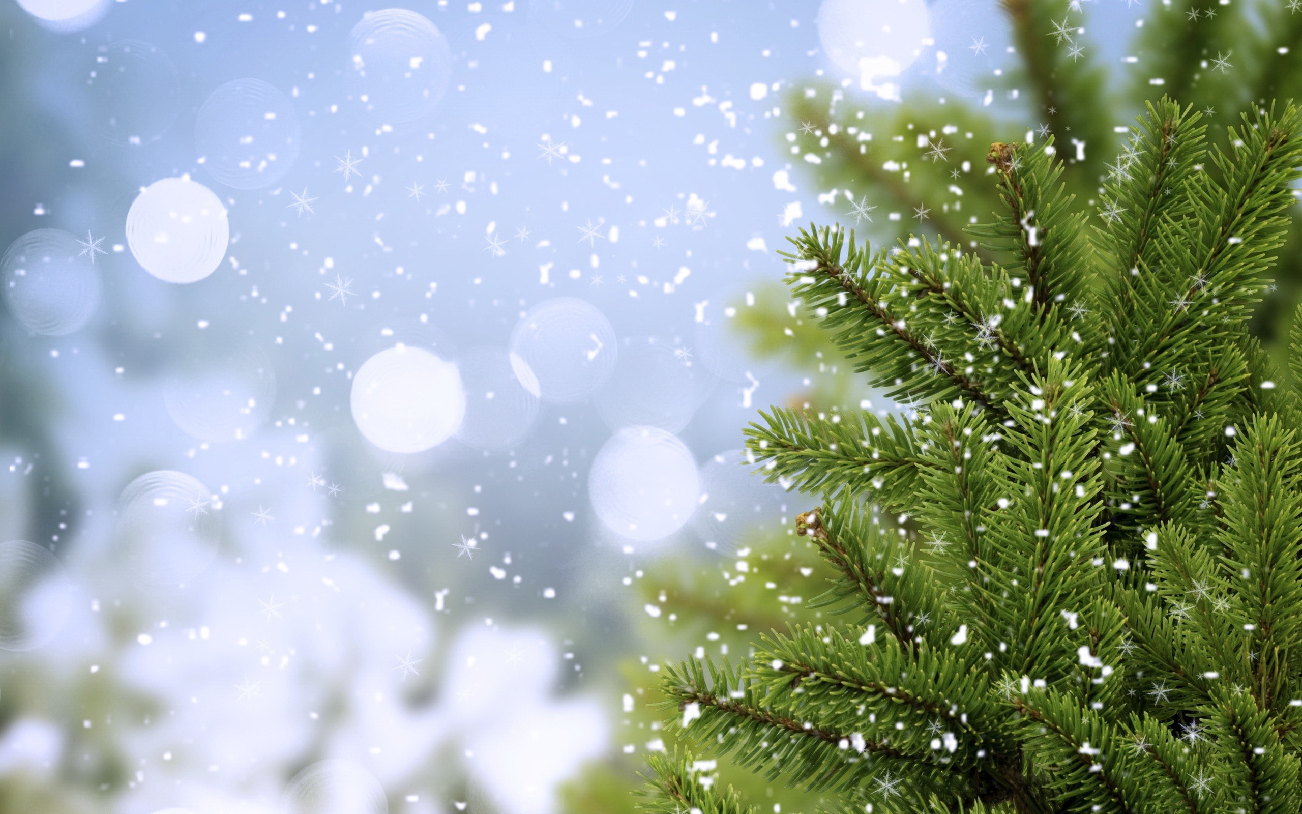 winter, снег, разделе Фон № 160743 разрешение 2560x1600