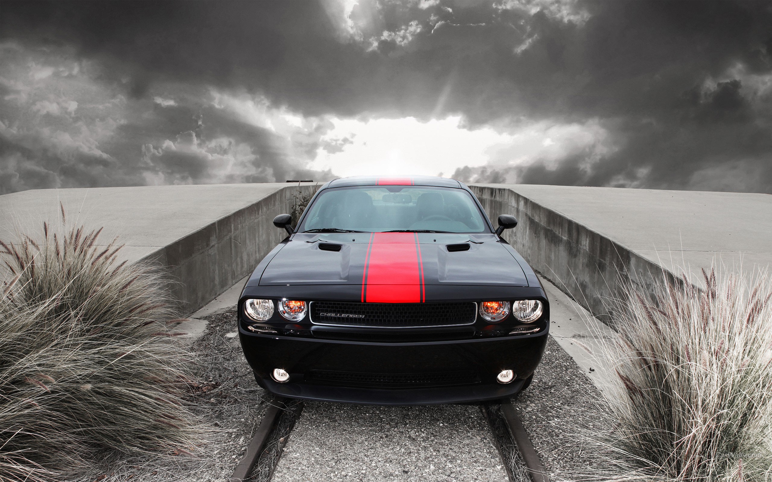 додж, претендент Разрешение 2560x1600