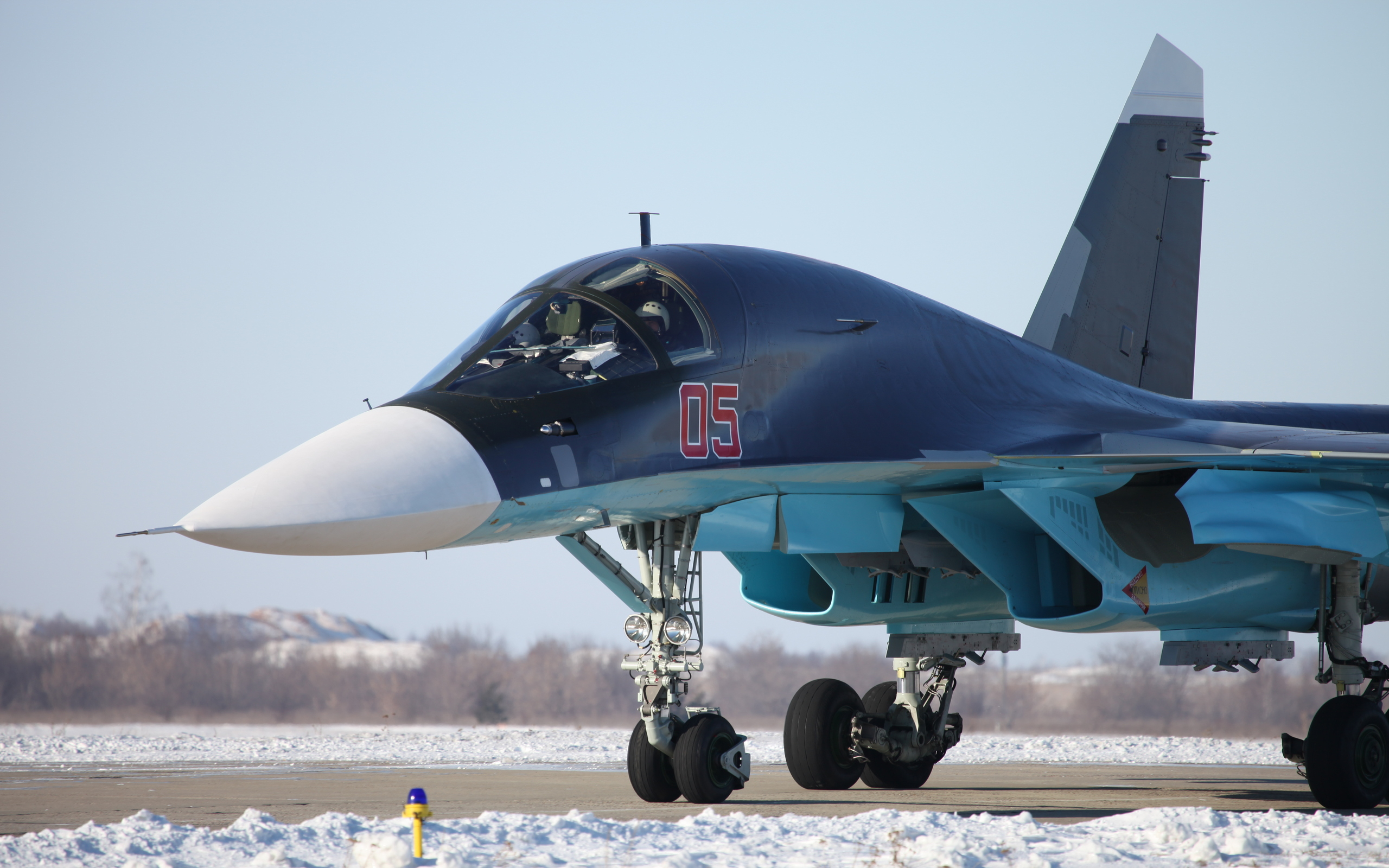 соу, общество