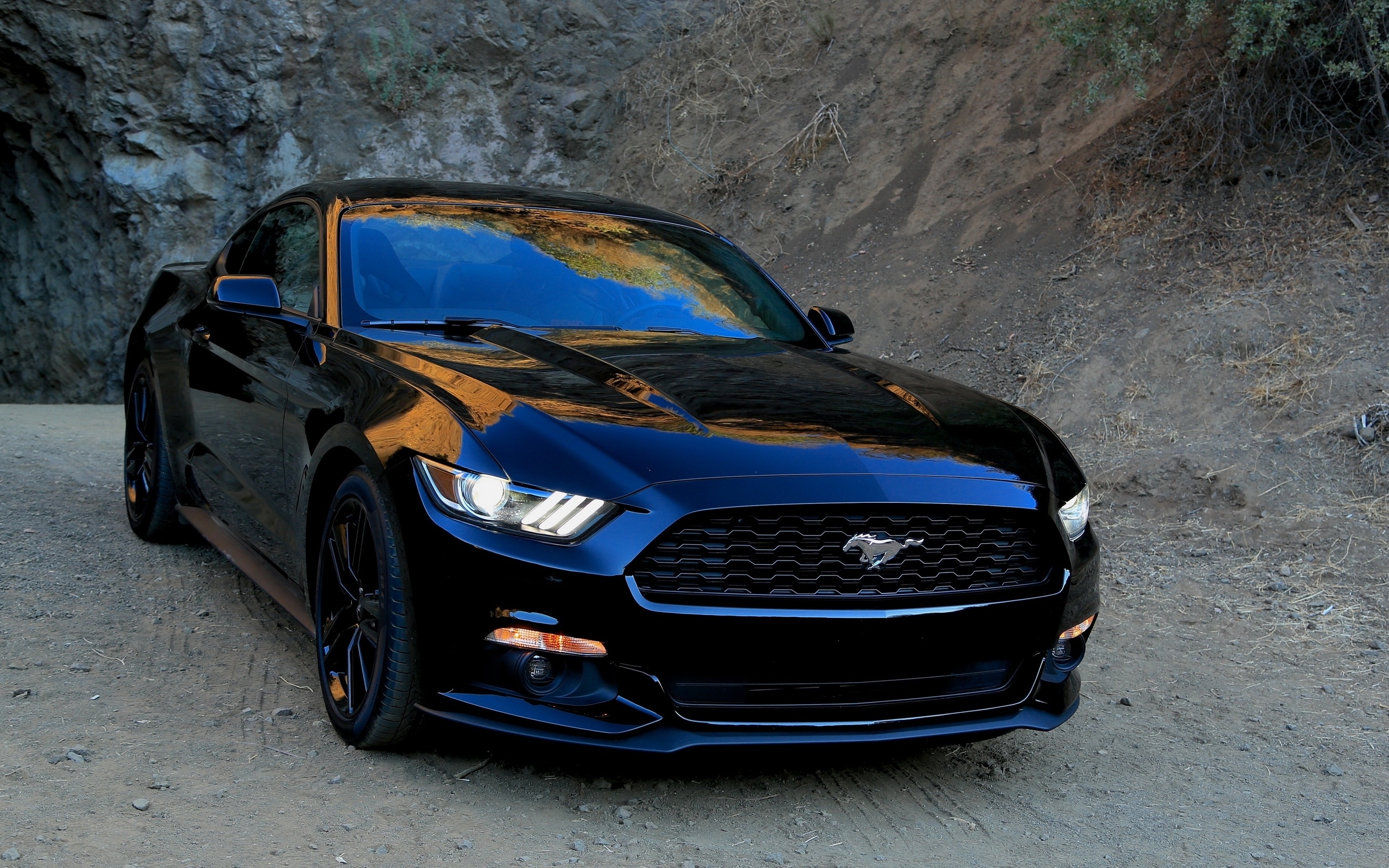 ford, mustang