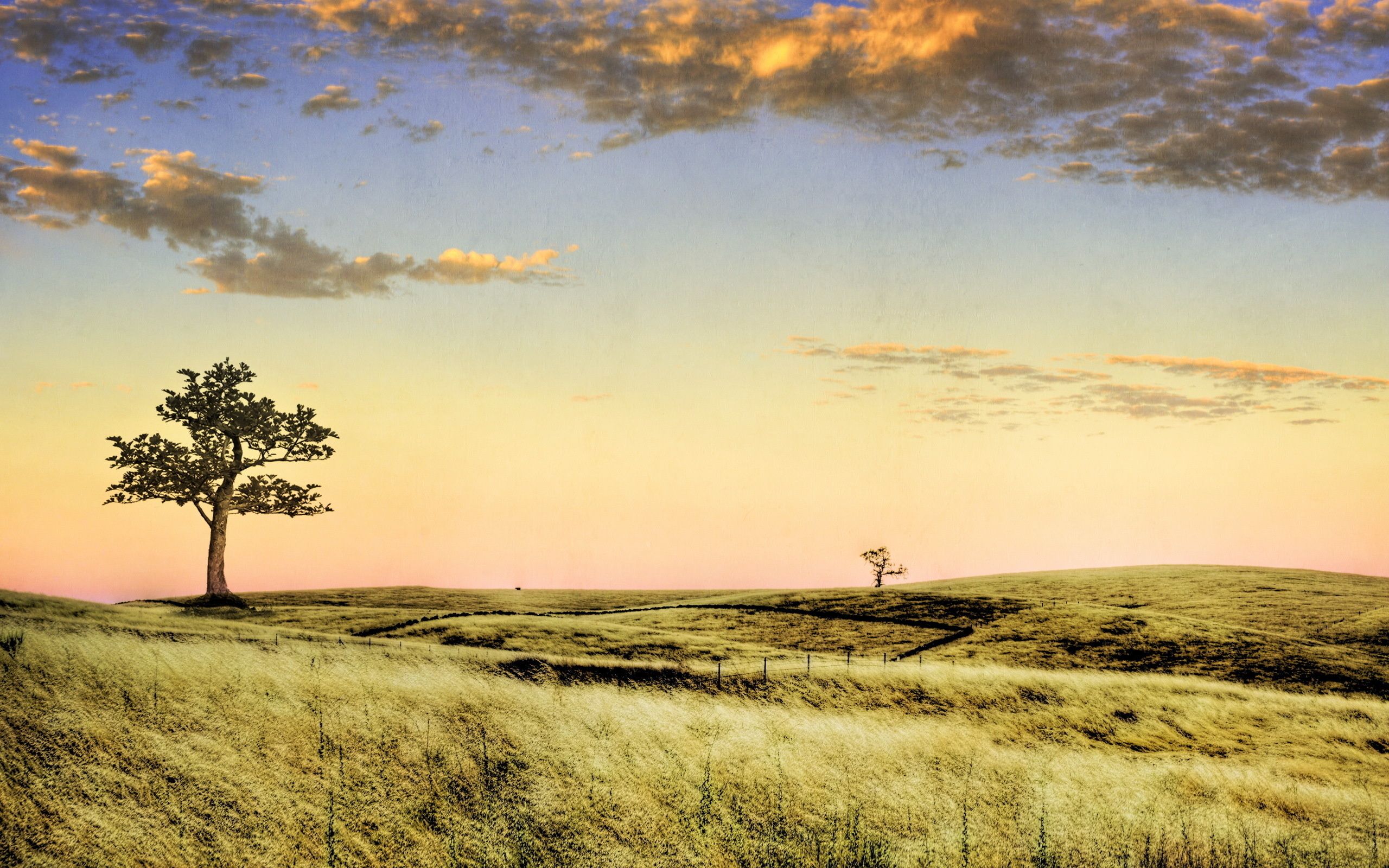 fundo, paisagem, parede