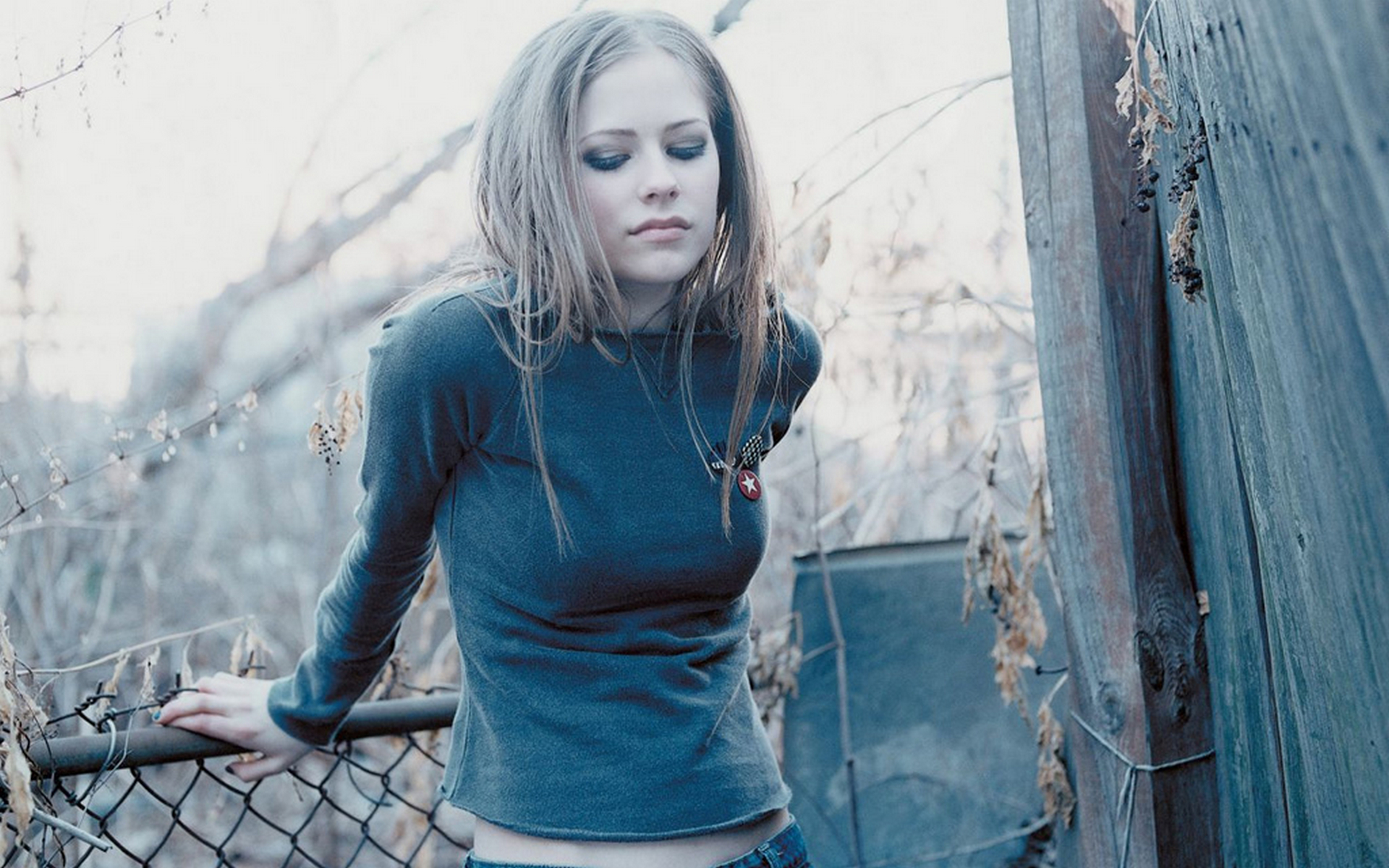 avril, lavigne, let