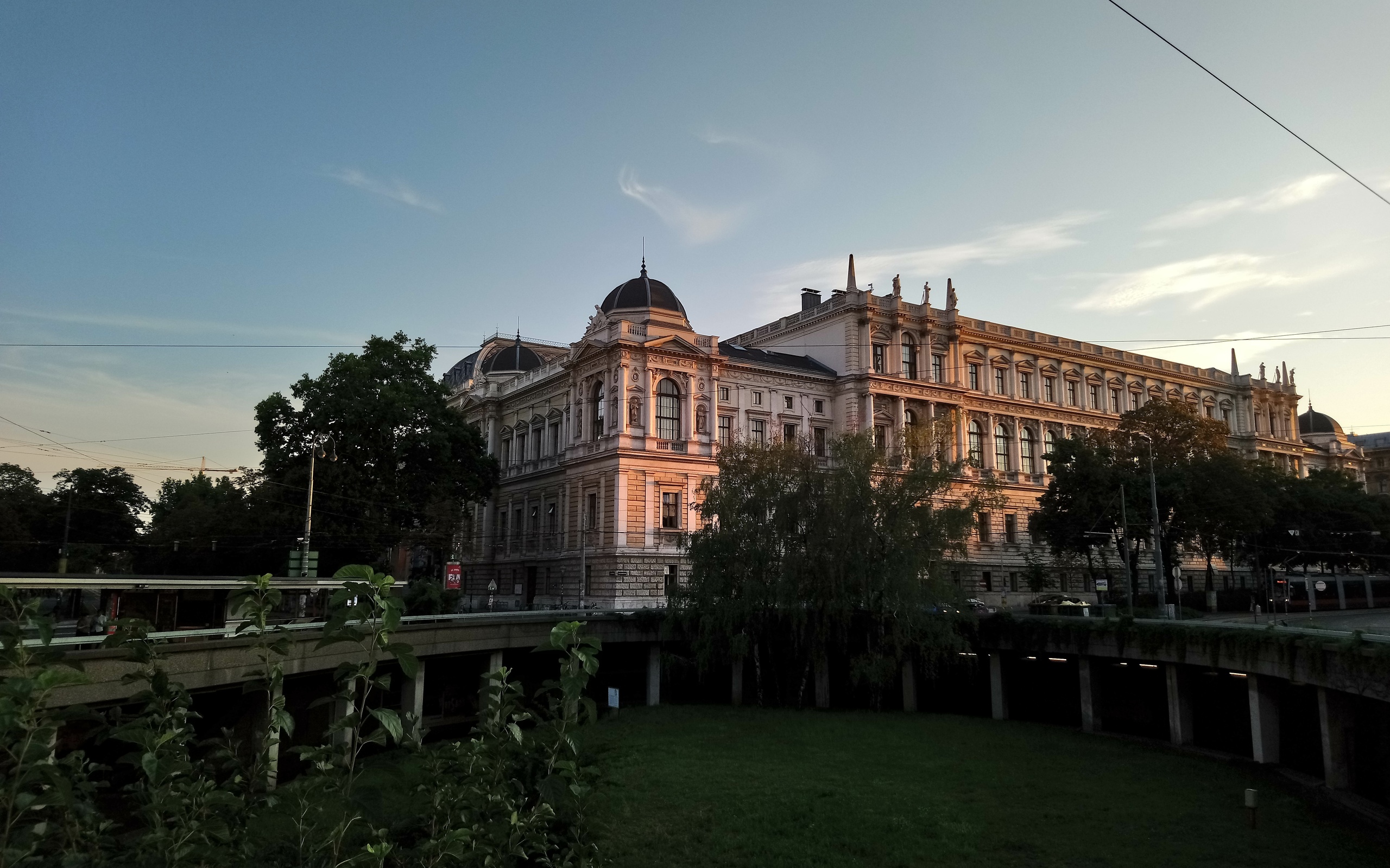 вена, вьен, университет