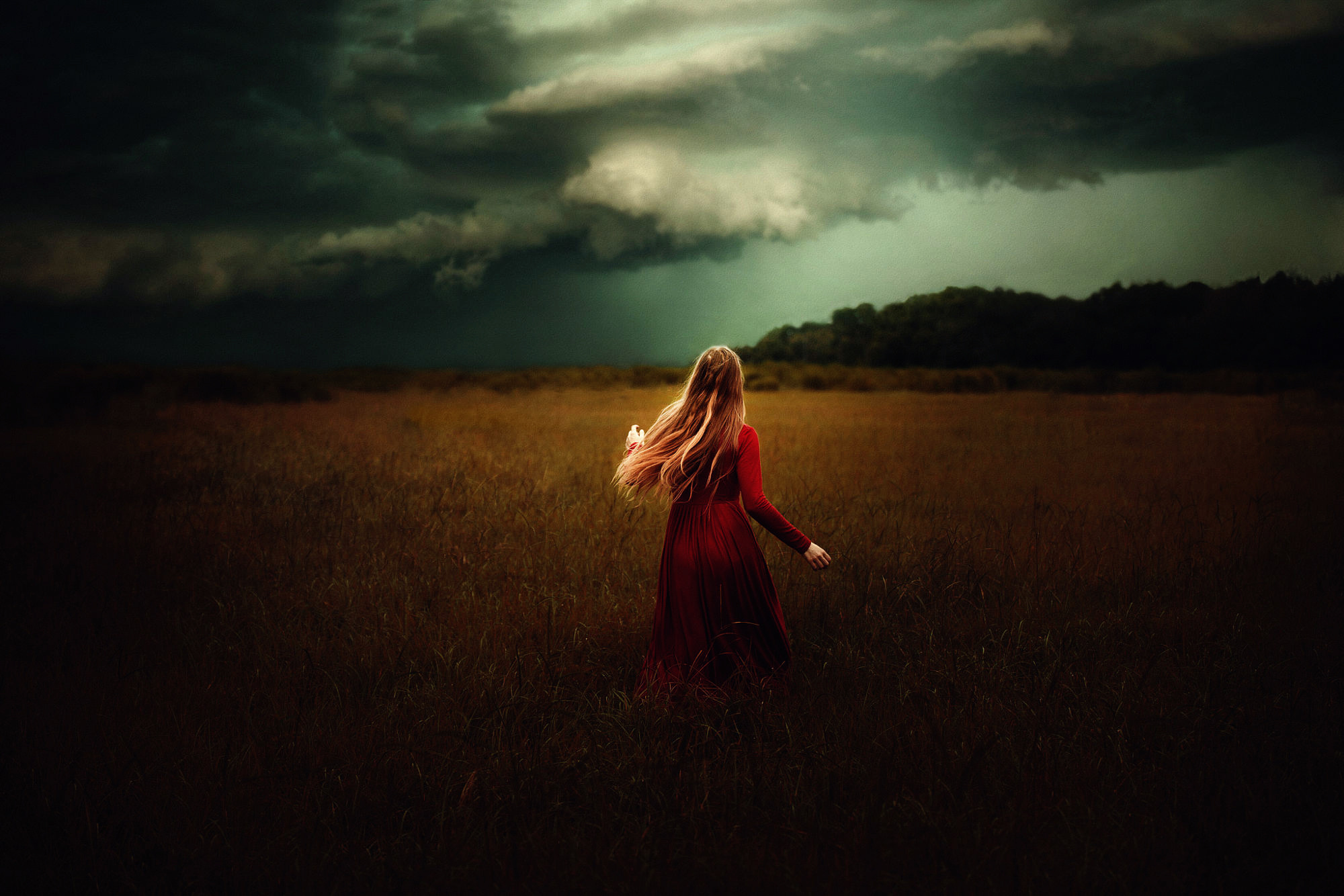 Сигма шел по полю. TJ Drysdale фотограф. Девушка в поле. Девушка бежит по полю. Девушка уходит в поле.