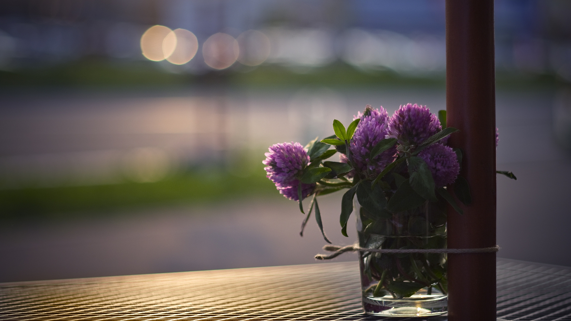 клевер, цветок, стакан