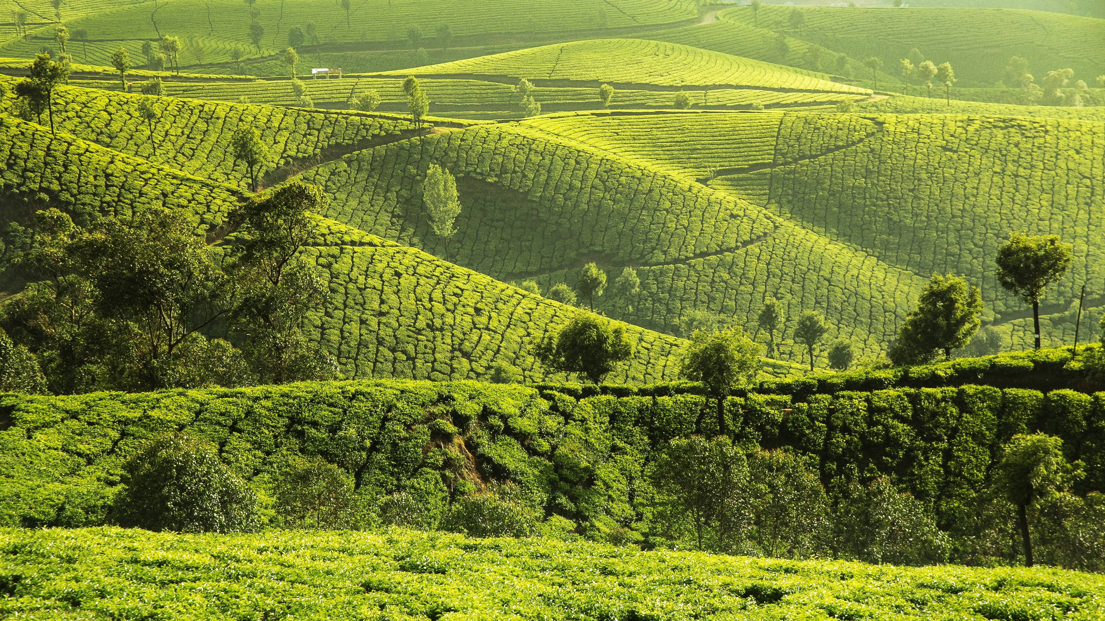 план, класс