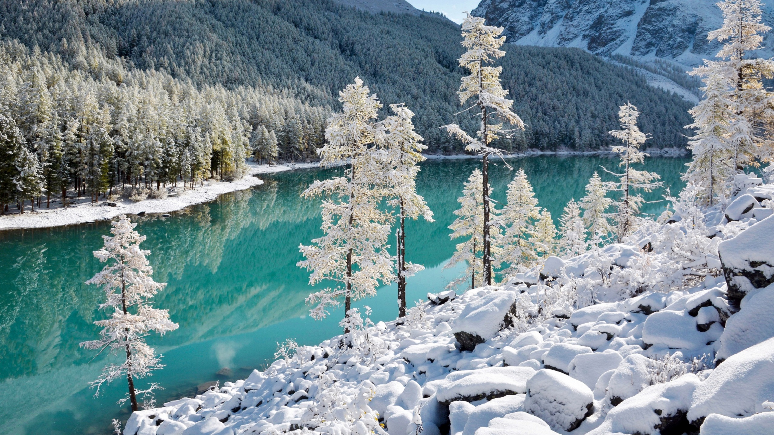 Куда лучше поехать в феврале. Шавлинское озеро, Алтай зимой. Каракольские озера зима. Каракольские озера Алтай зимой. Чемал горный Алтай зимой.