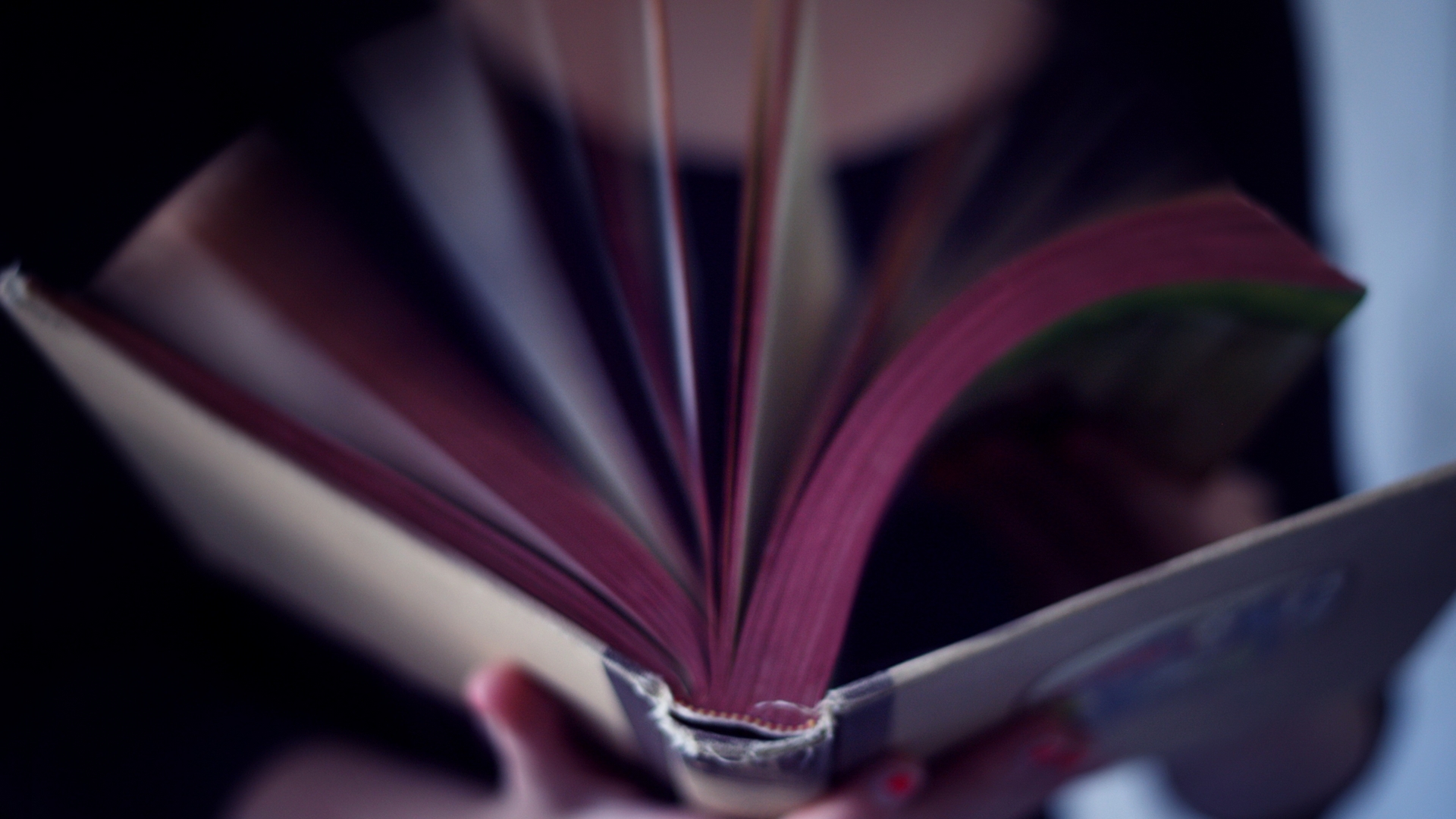 книга, девушка, страницы