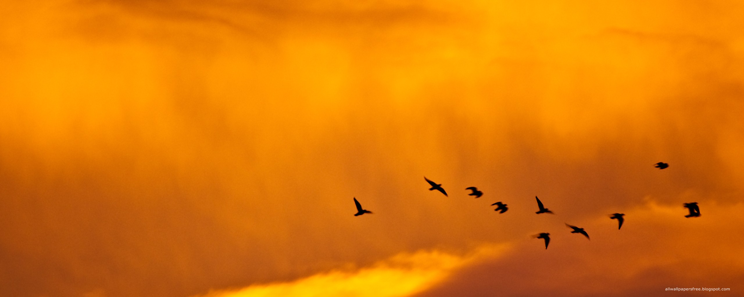 les No 138059 Разрешение 2560x1024