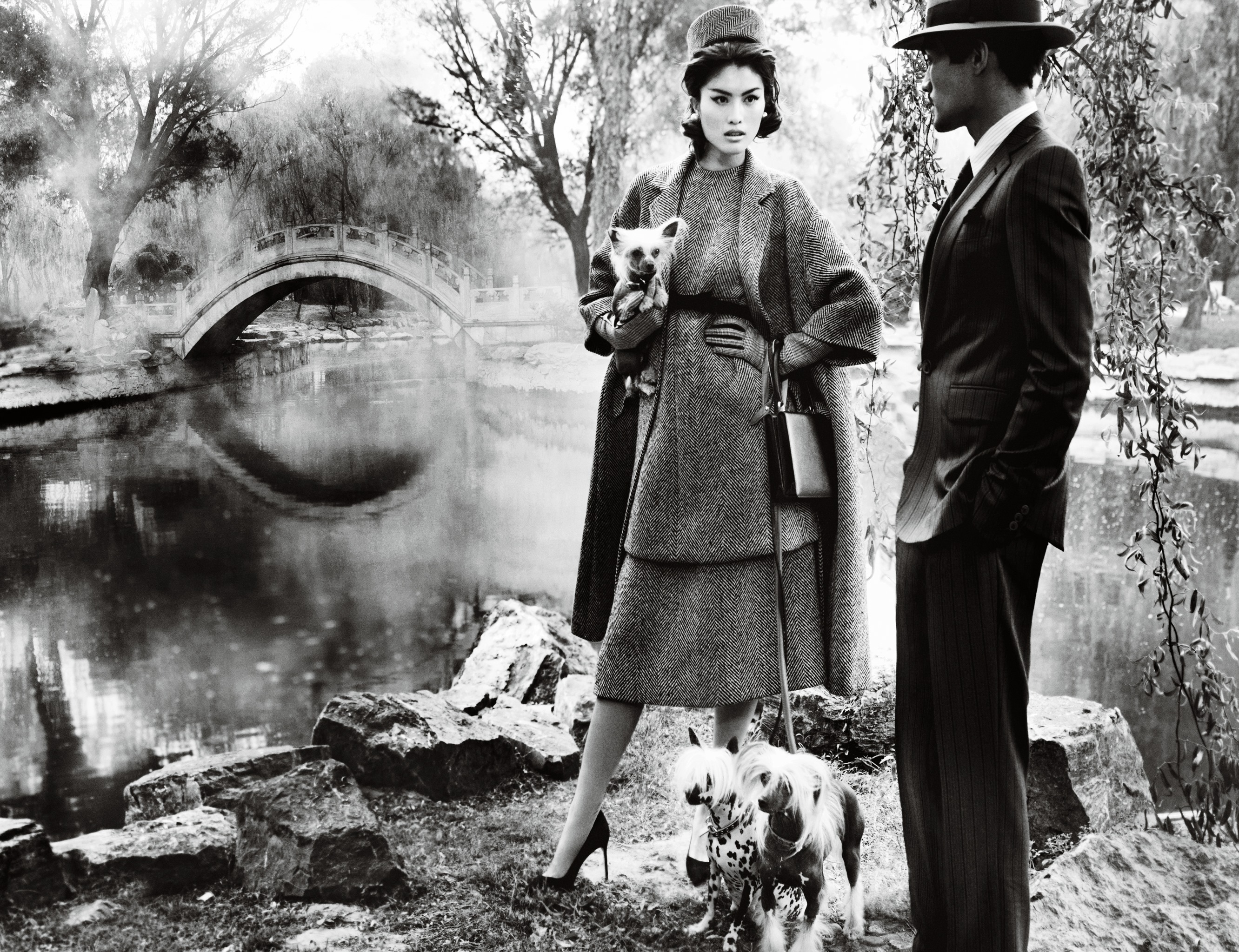 тестино, Китай, декабрь