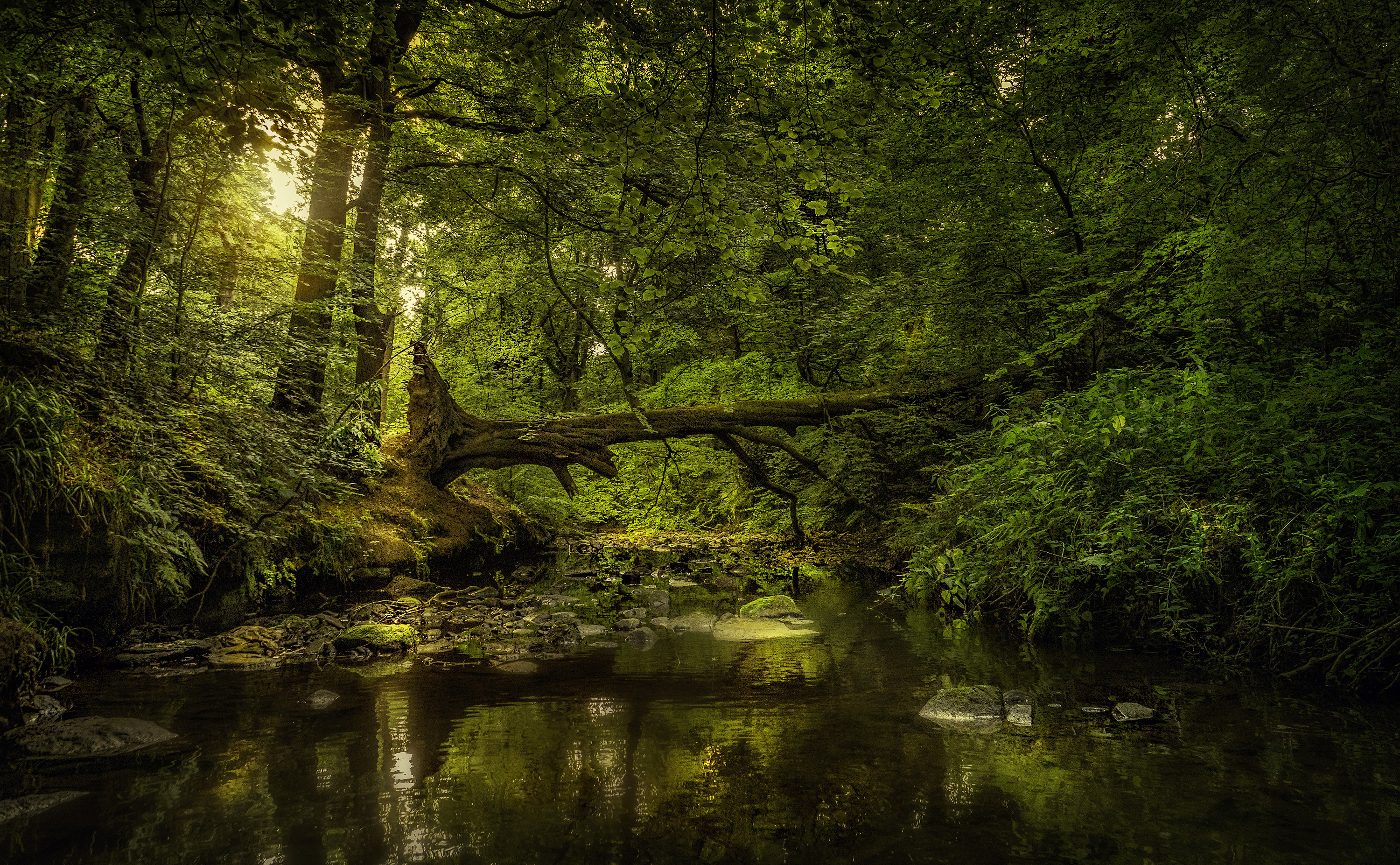 зрелые, площадь, вода