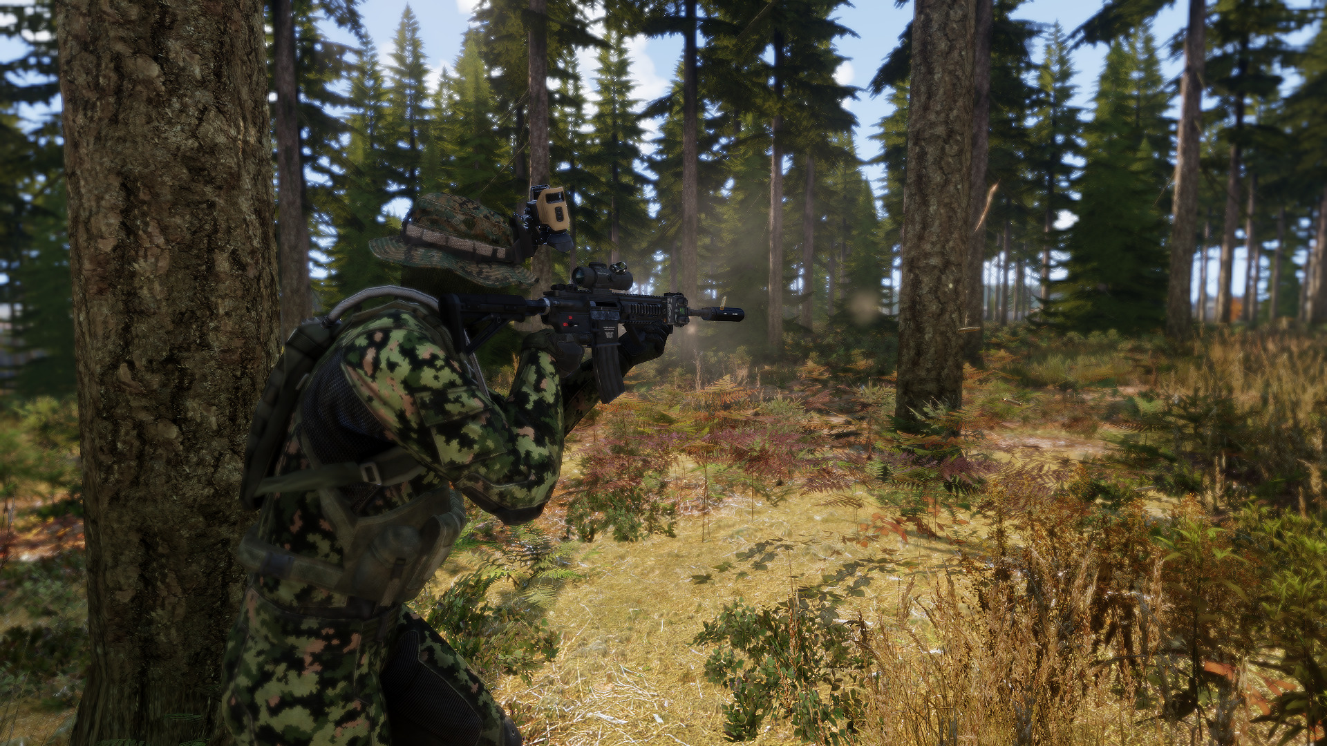 arma, chernarus