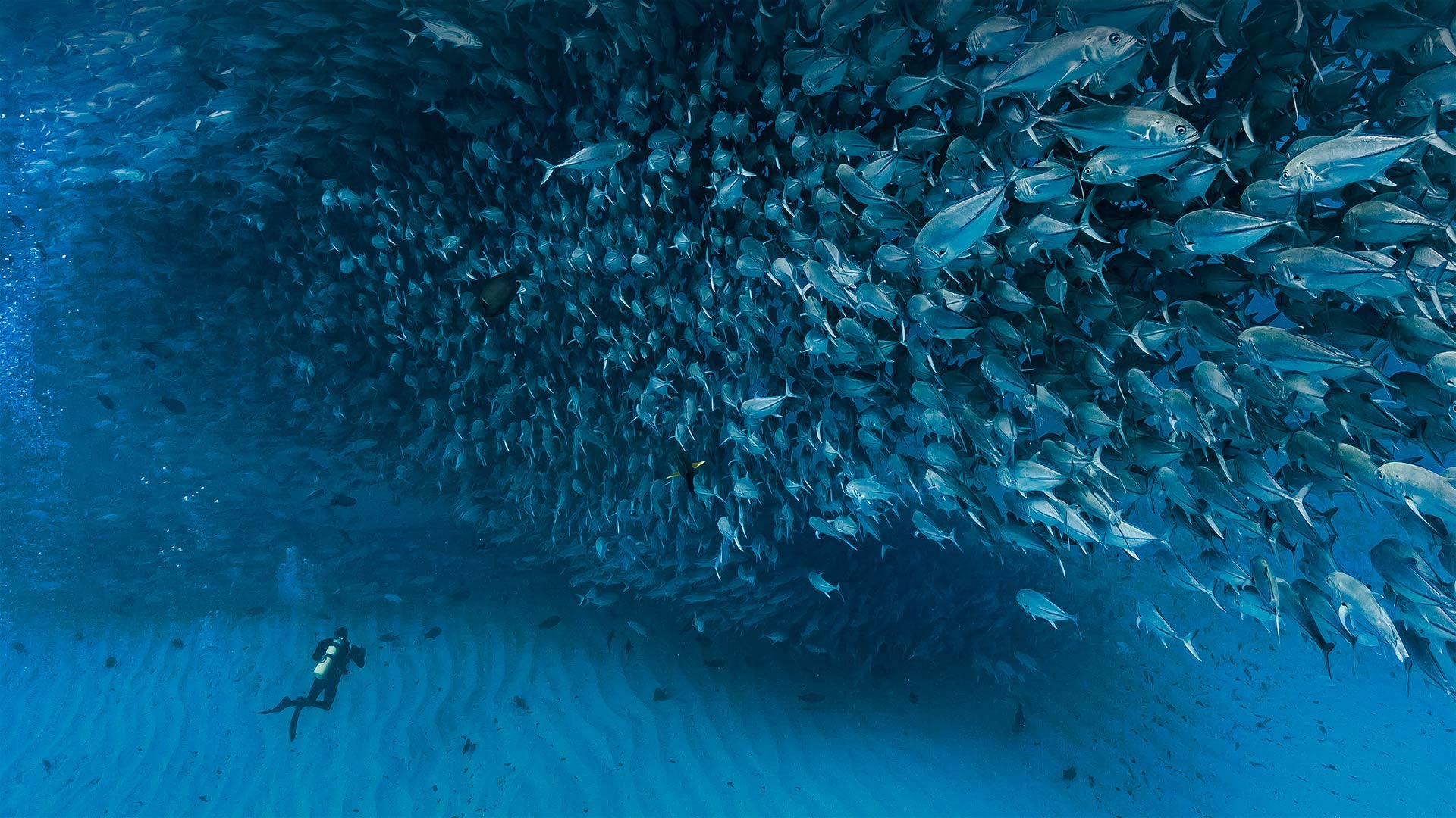 ocean, geographic, global