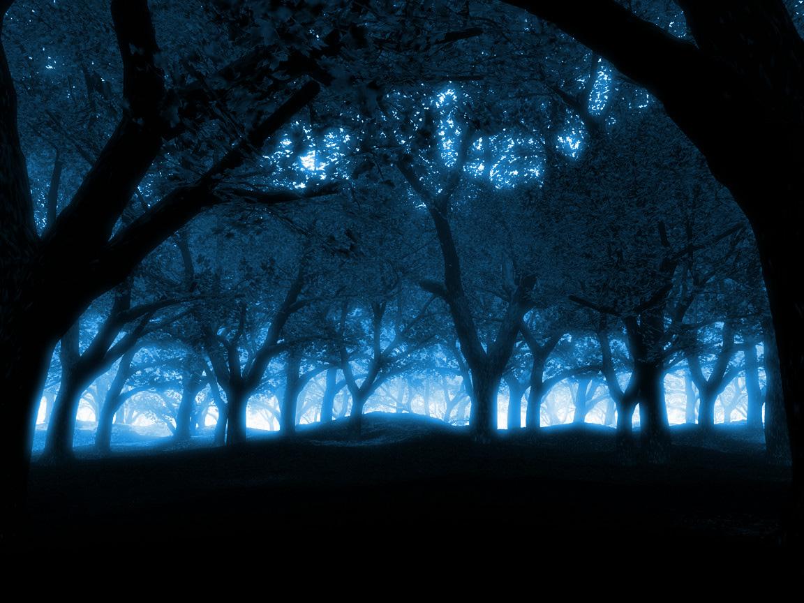 Лес ночь деревья без смс