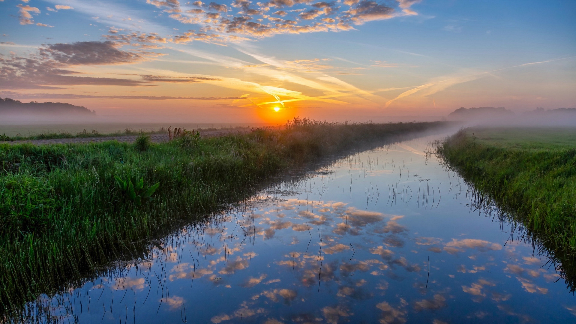 задница, полюс